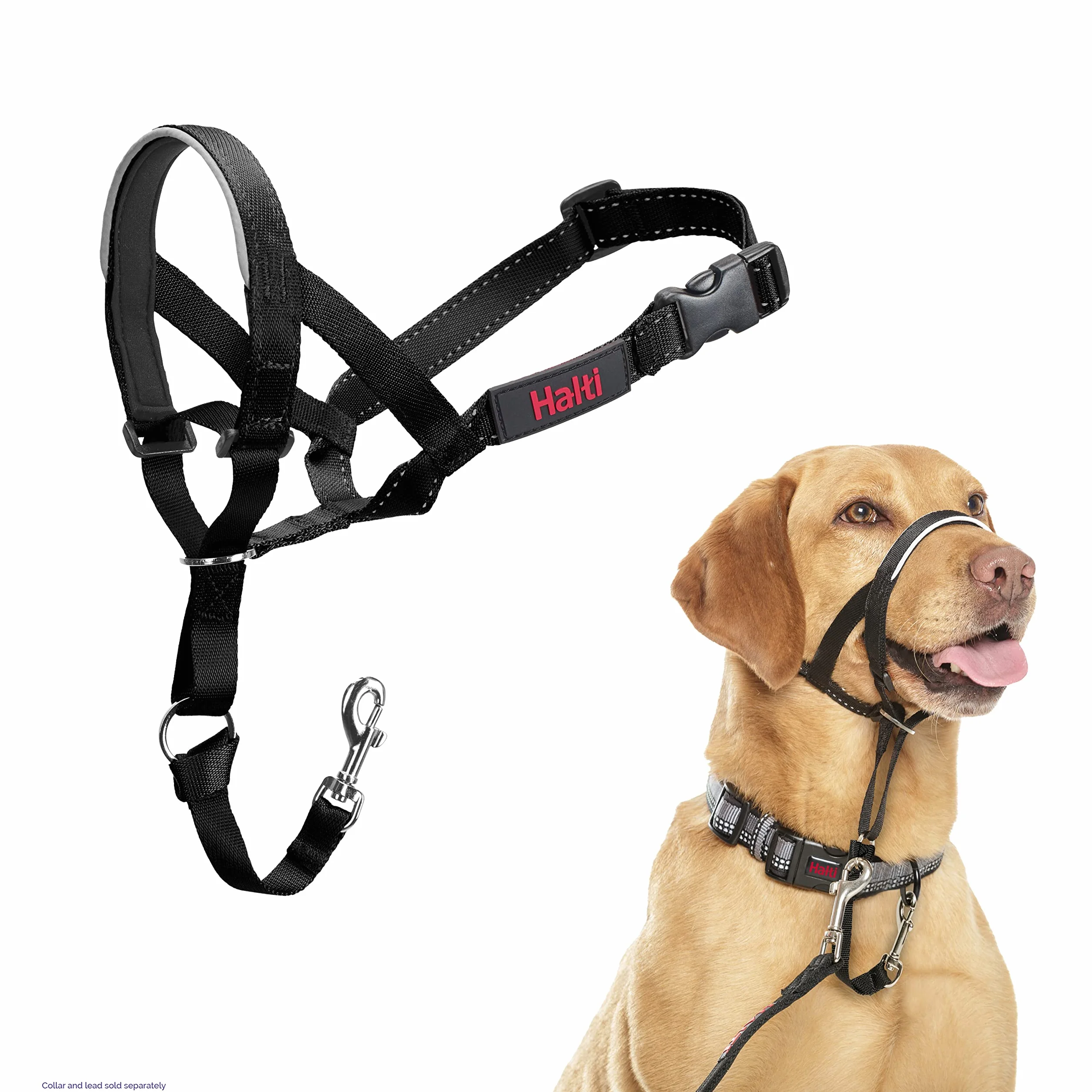 THE COMPANY OF ANIMA Halti Collier pour Chien Noir 3