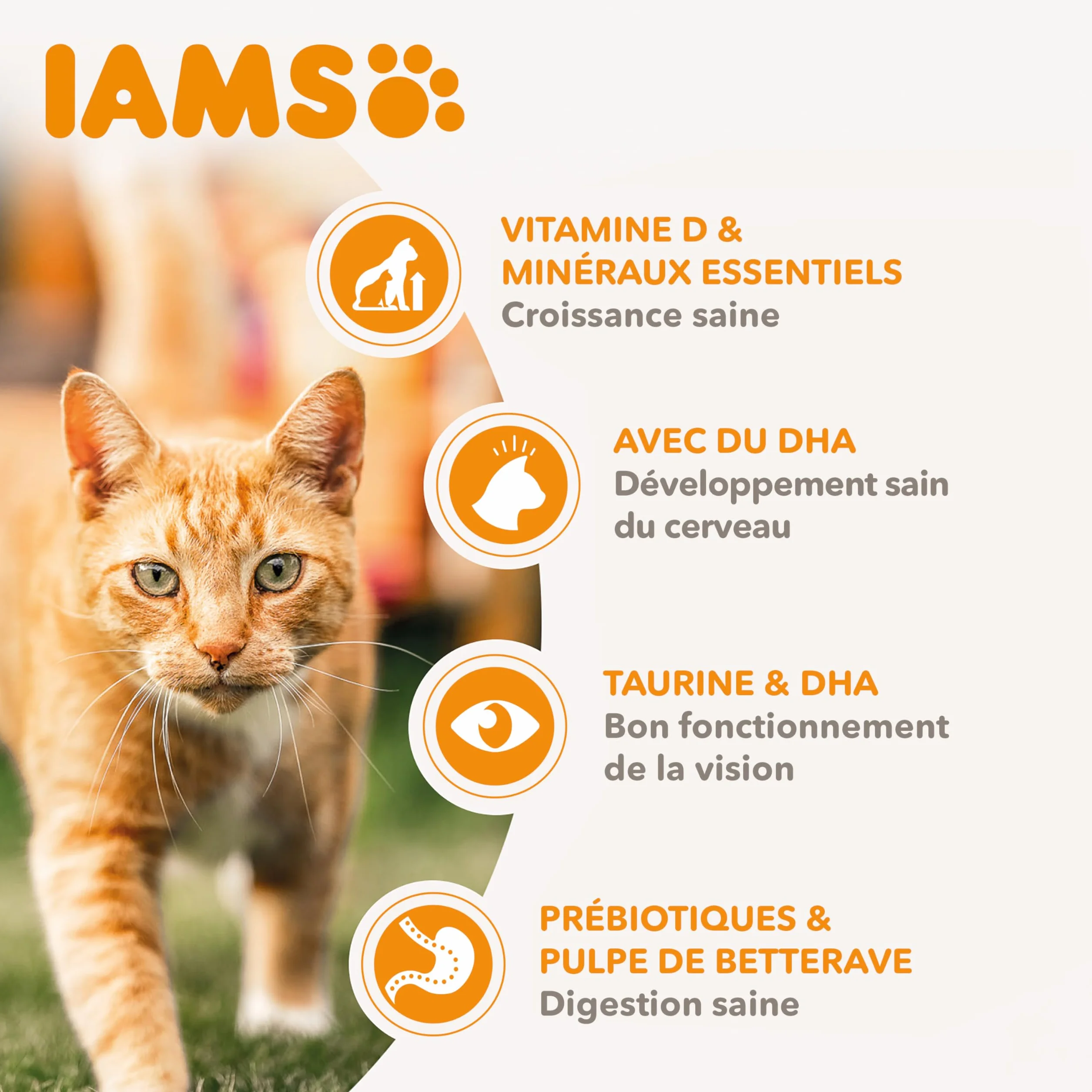 IAMS Vitality Croquettes Super Premium Chatons 10 kg Au Poulet Frais sans OGM