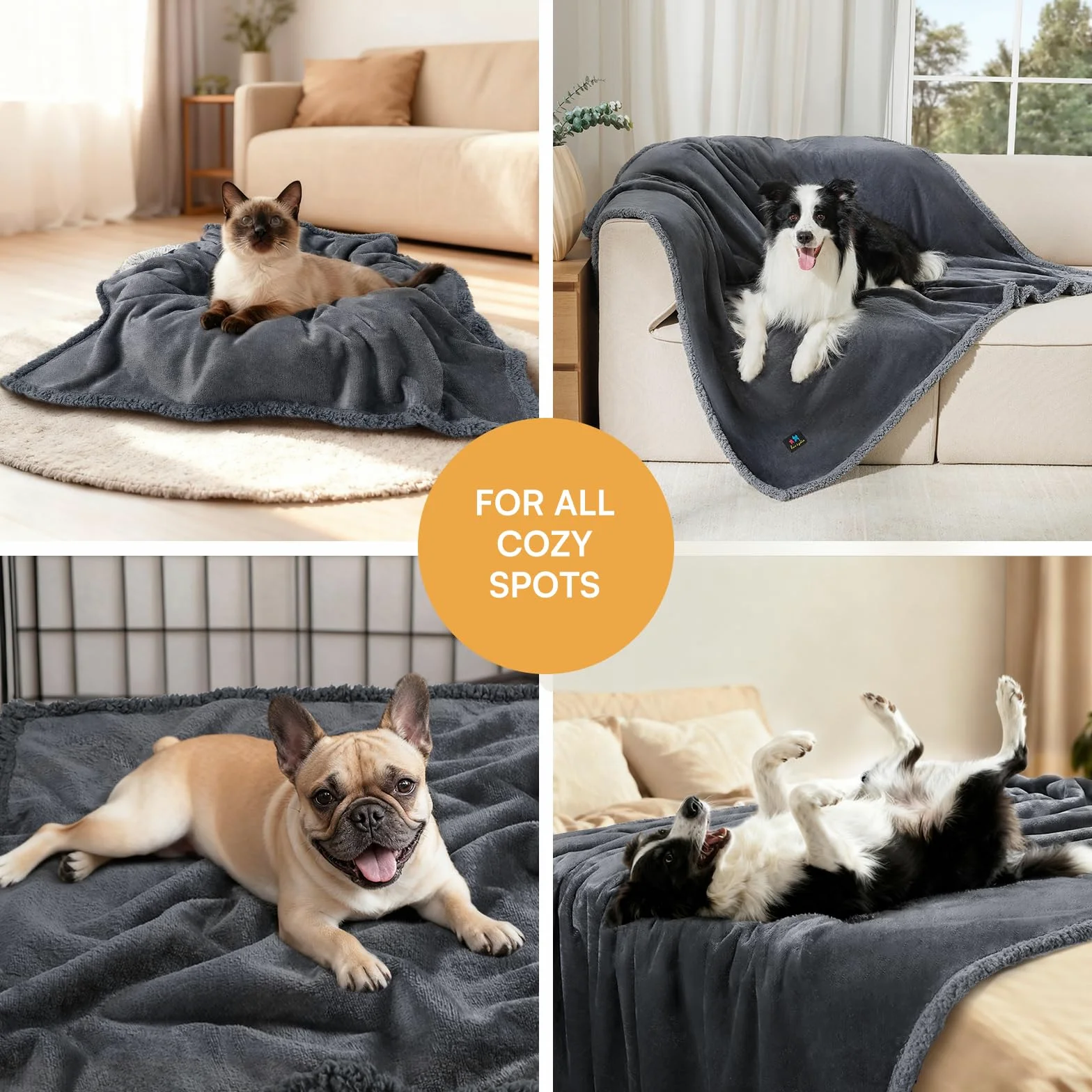 luciphia Couverture imperméable pour Animal de Compagnie – Couverture Anti-Pipi Liquide pour canapé-lit, Housse de Protection réversible en Polaire Sherpa pour Chiens et Chats de Petite, Moyenne et