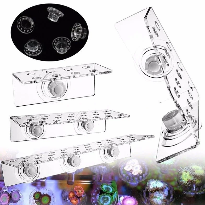 Kit support aquarium marin coraux vivants CRB-8