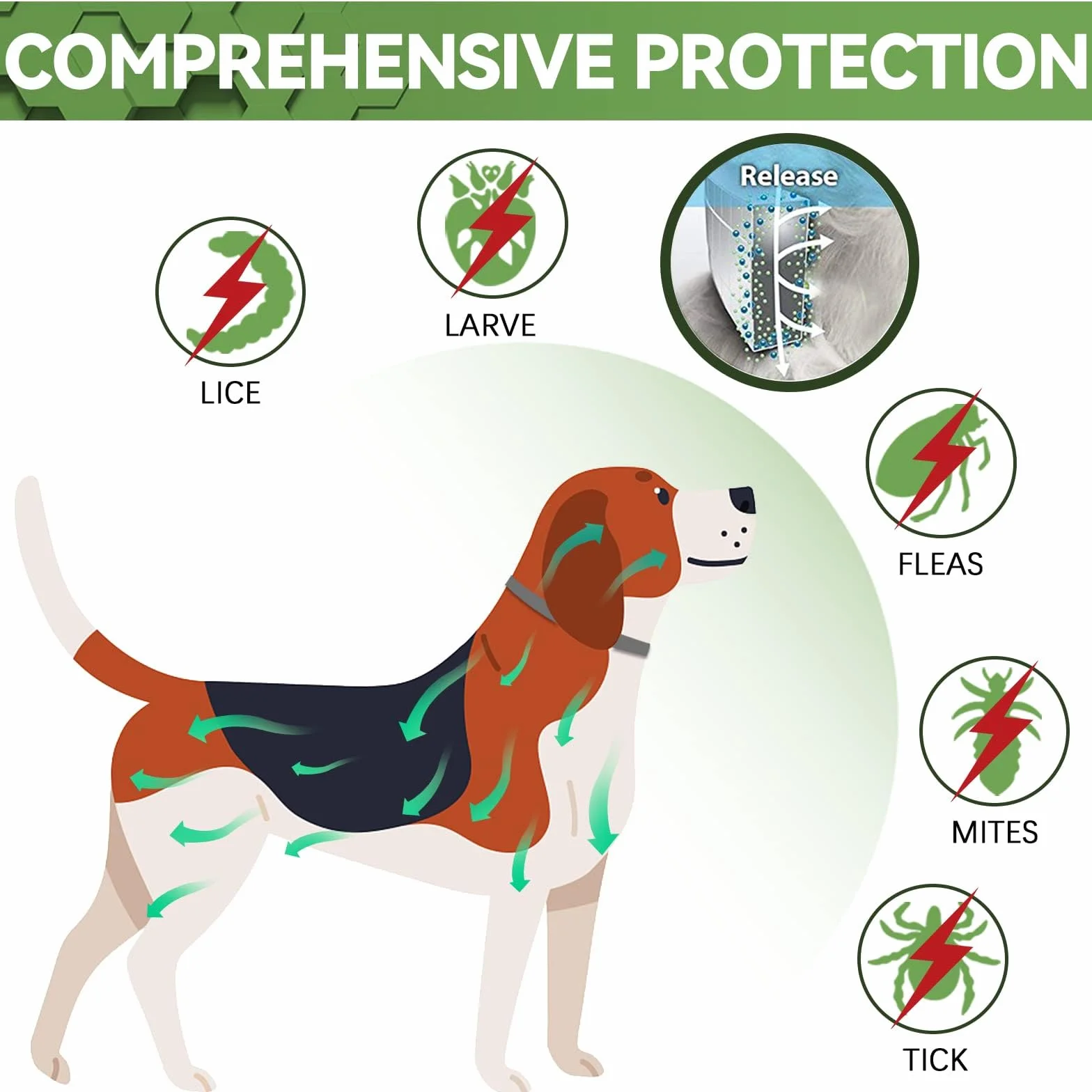 Collier Anti Puces pour Chien 12 Mois Protection 65cm Réglable Étanche