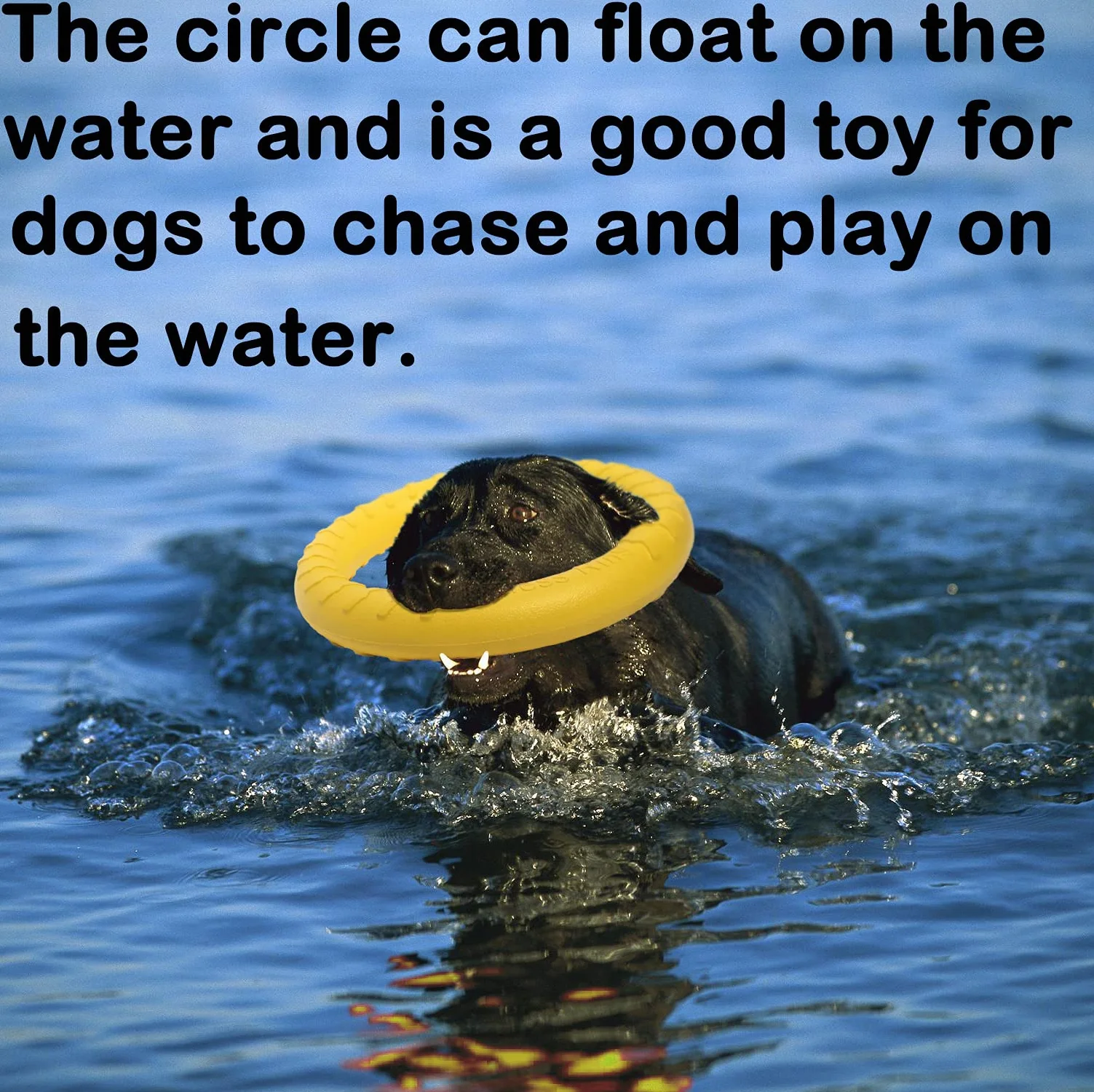 Anneau de Fitness Pour Chien, Anneau de Morsure de Chien, équipement d'exercice d'agilité pour chien, anneau d'entraînement interactif au tir à la corde pour petits et grands chiens (Jaune, Grande)
