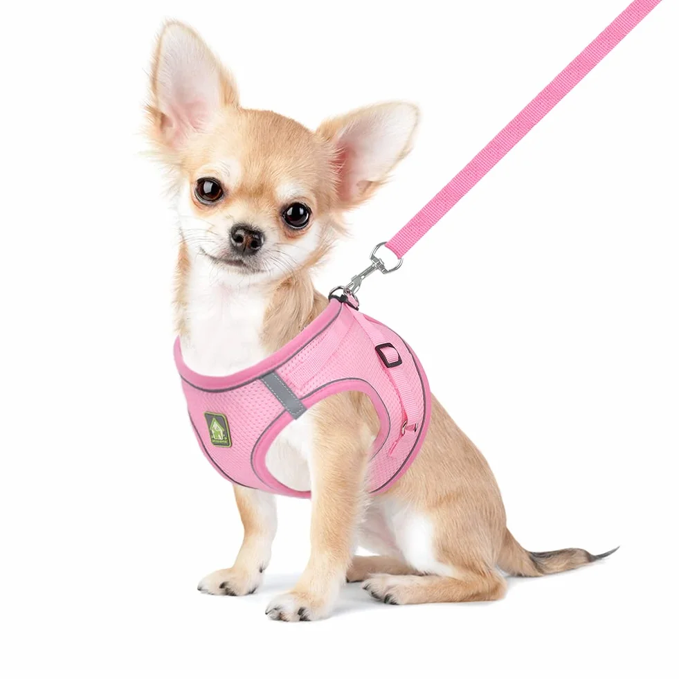 Harnais Petit Chien Chat Veste en Mesh Doux Réfléchissant Réglable Gilet de Chiot et Laisse pour Chiens de Taille Petits et Moyens