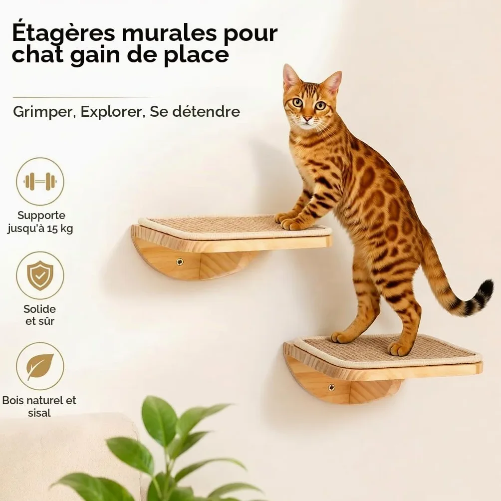 Étagères murales pour chats avec tapis en éponge, arbre d'escalade pour chat avec 2 marches carrées et plateformes incurvées, ensemble de meubles muraux en bois pour chat pour dormir et jouer