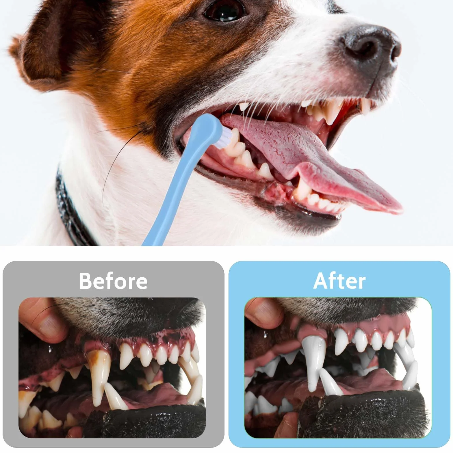 Lot de 2 brosses à dents pour chat, chien, chiot, tête douce, kit nettoyage