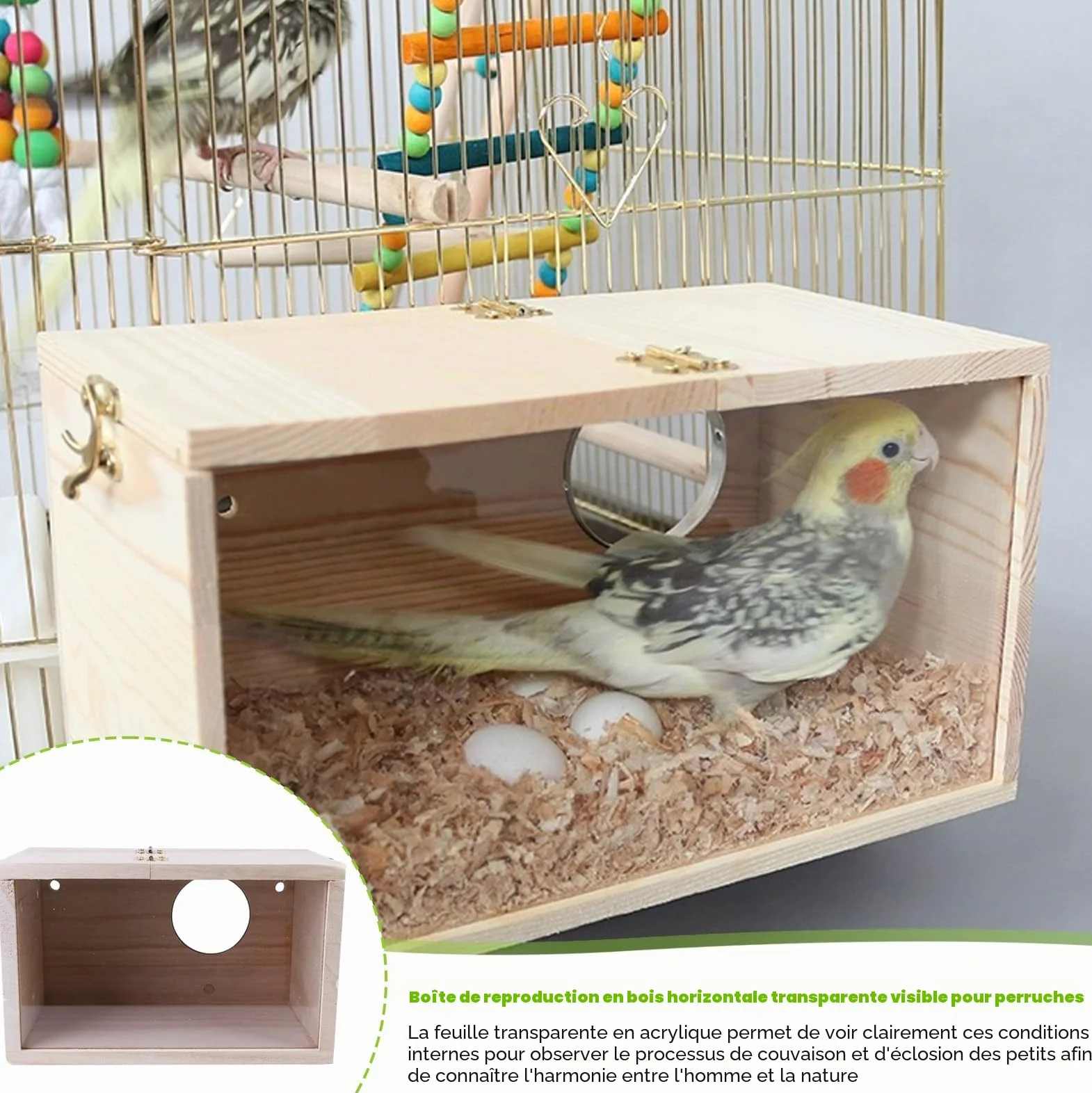Nizirioo Nichoir transparent pour perruches, perruches, perruches, perroquets, 12 x 12 x 19,5 cm