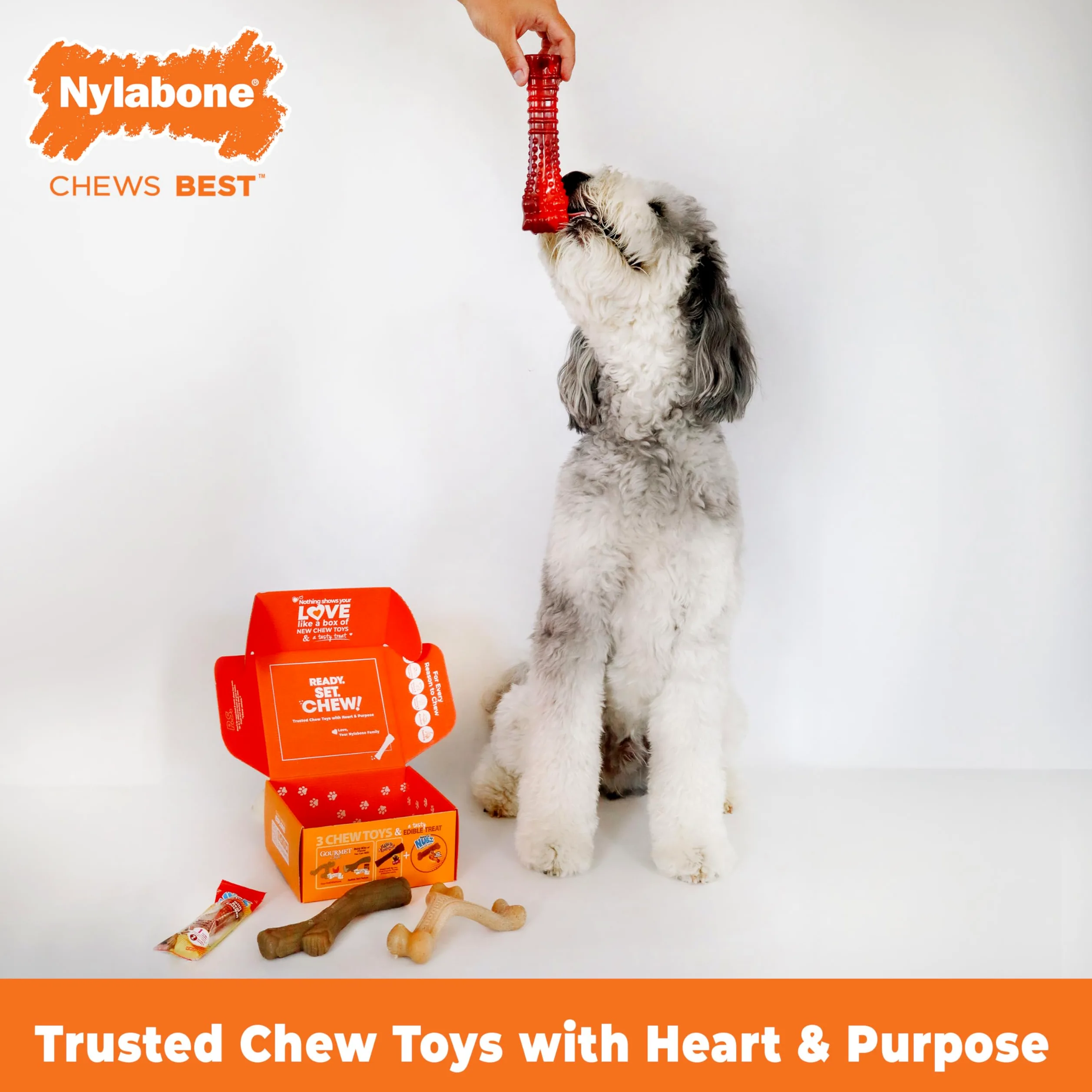 Nylabone Coffret Cadeau de Vacances pour Chiens de Grande Taille, Comprend 3 Jouets à mâcher Solides et 1 friandise pour Chien, Cadeaux pour Chiens, Grand/géant (4 pièces)