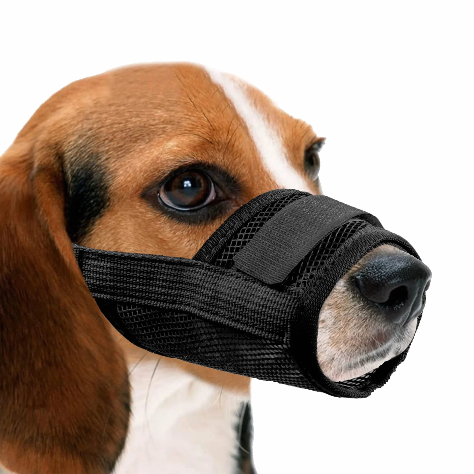 YAODHAOD Respirant Muselière en Nylon Réglable pour Chiens, Réglage Rapide de la Muselière, Museliere Anti-Aboiements et Anti-Morsures(L, Noir)