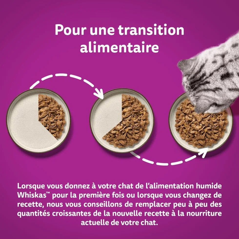 WHISKAS 7 Ans+ Repas Pour Chat Senior, Lot de 84 Sachets fraîcheur 85 g, Nourriture Humide Chat