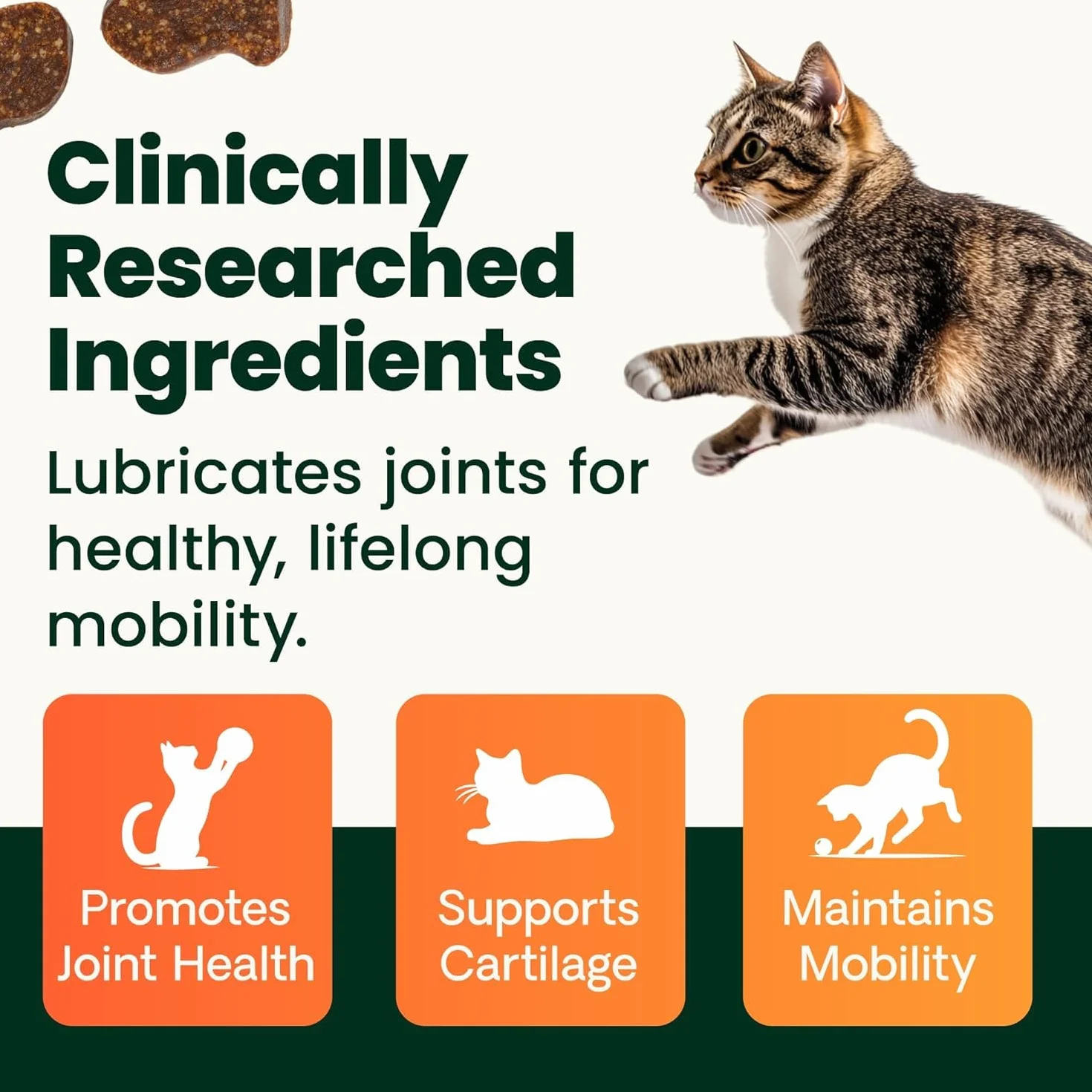 Vetri-Science Laboratories Glyco Flex 3 Complément Alimentaire pour Chats Hanche et Articulation