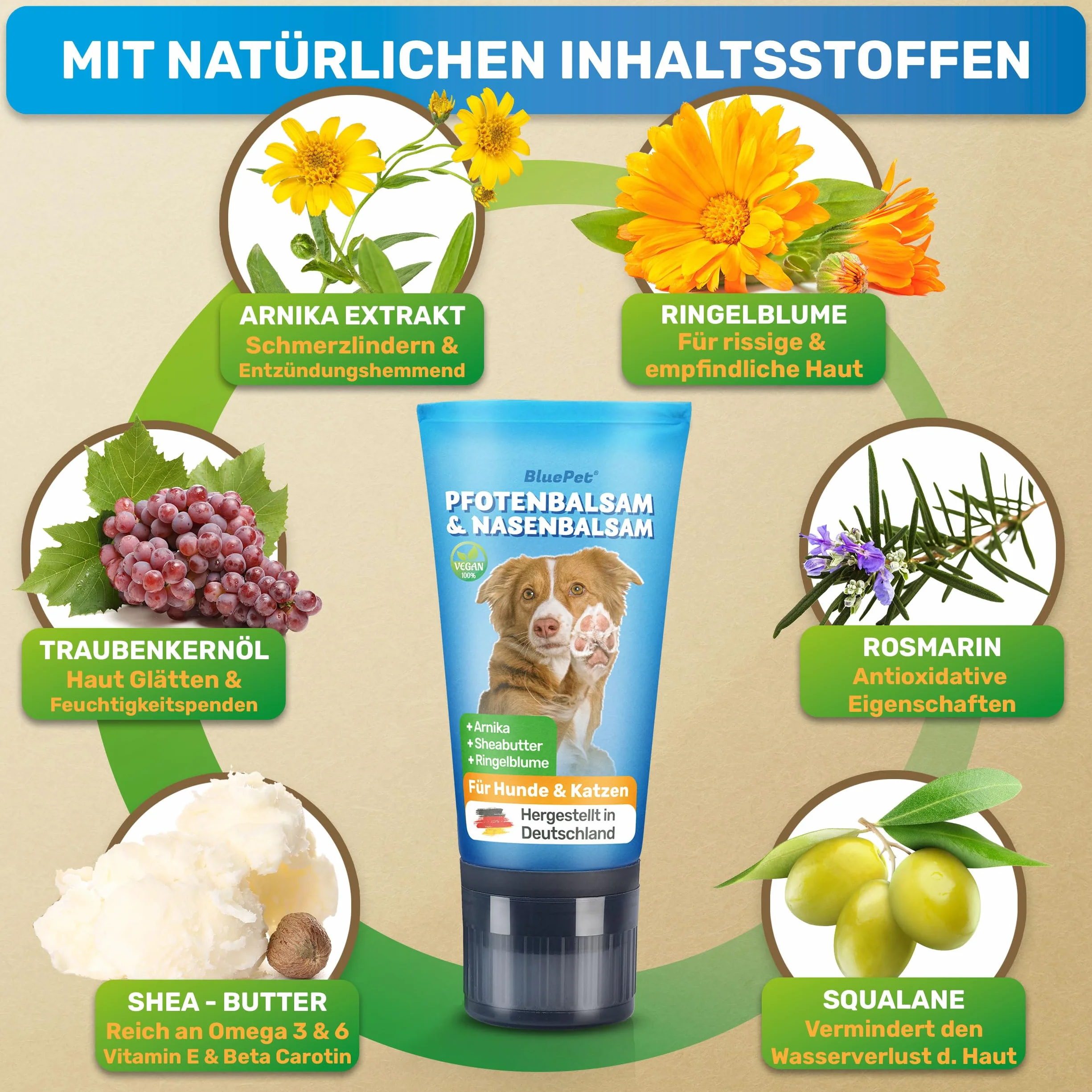 BluePet Baume Coussinet Chien, Creme Coussinet pour Pattes de Chien & Chat, Protection Neige & Chaleur, Cicatrisante & Antiseptique
