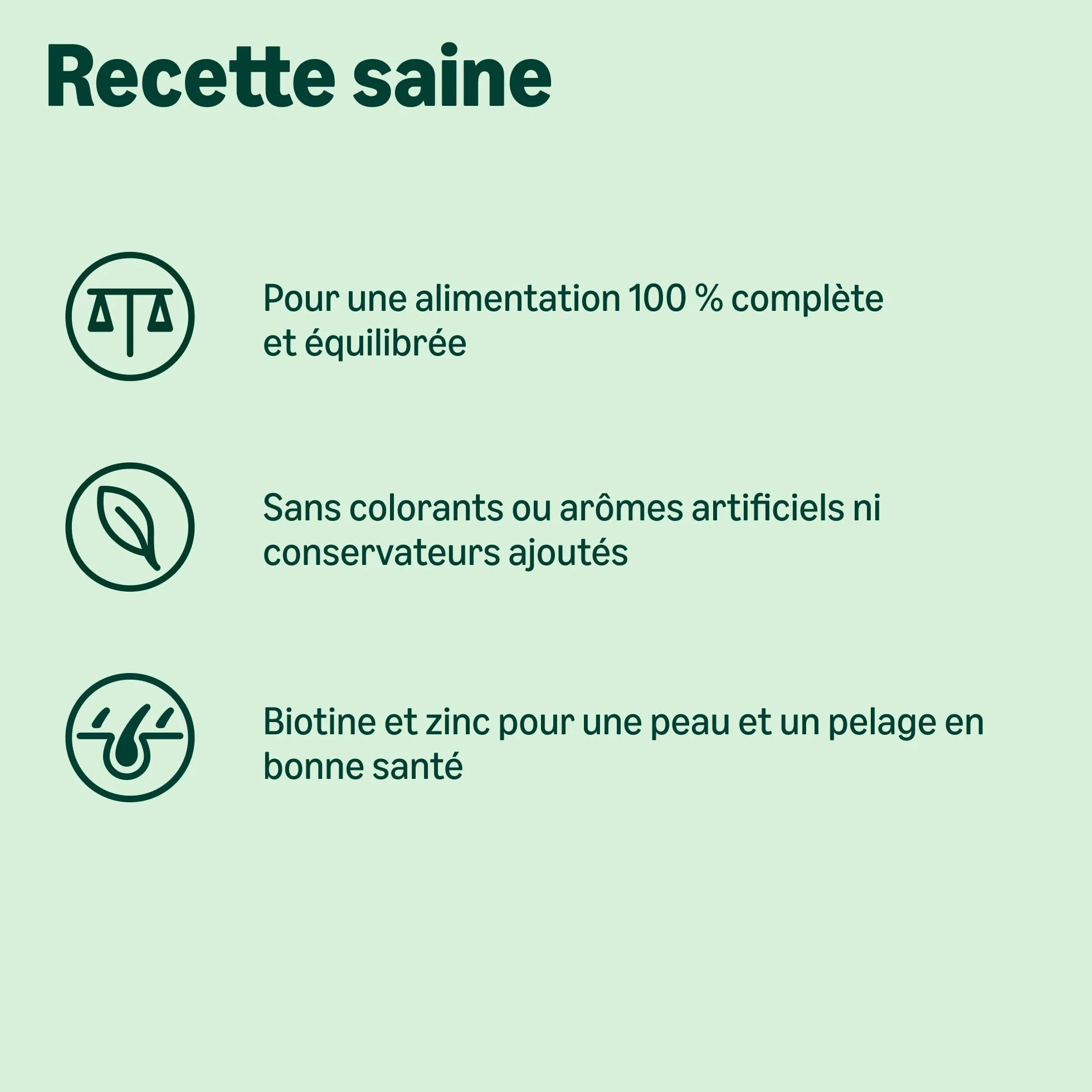 Amazon Complete Croquettes complètes pour chiens adultes, riche en poulet et riz, 5 kg