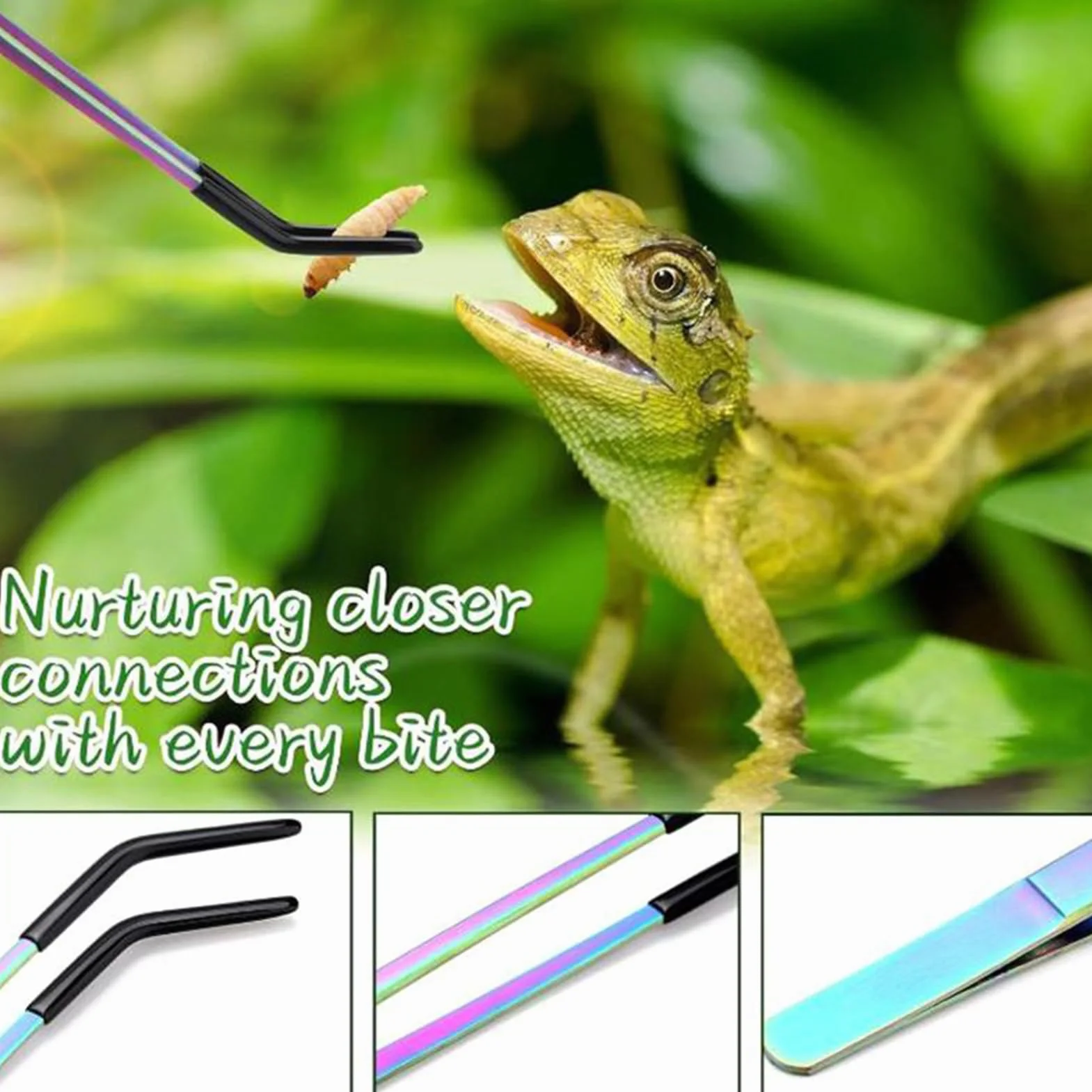 Pinces de Nourrissage Droites et Courbes Tête en Silicone Antidérapante pour Reptiles Aquatiques