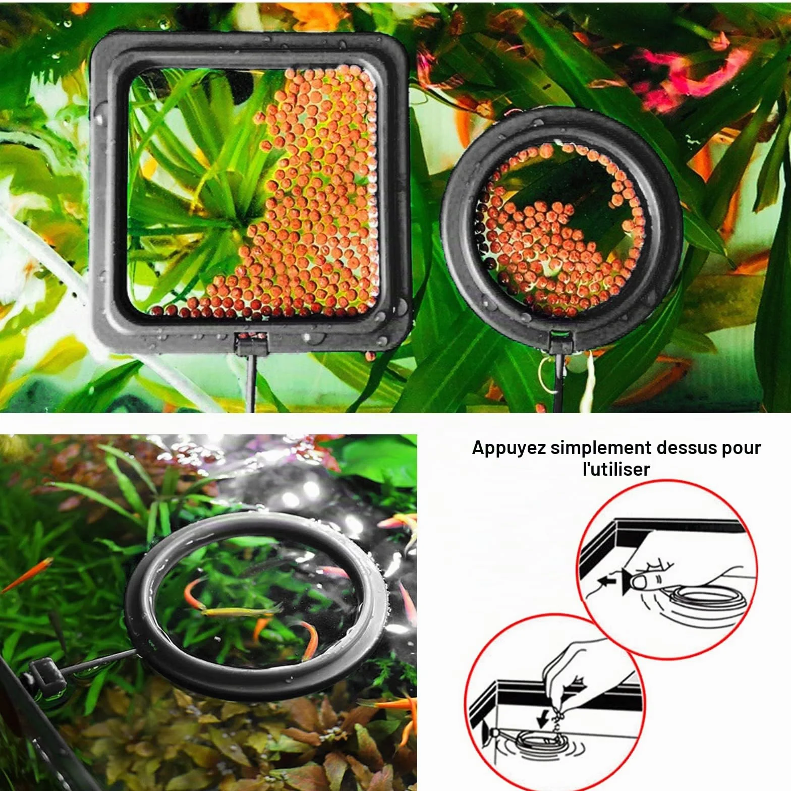 Anneau de Nourriture pour Poissons 2 pièces Distributeur Aquarium Accessoires Tortue Cercle Guppy Bettas Noir