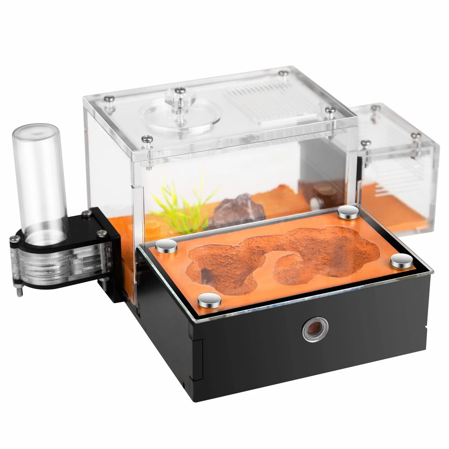Formicarium Kit Éducatif Habitat de Ferme pour Fourmis Vivantes Reines