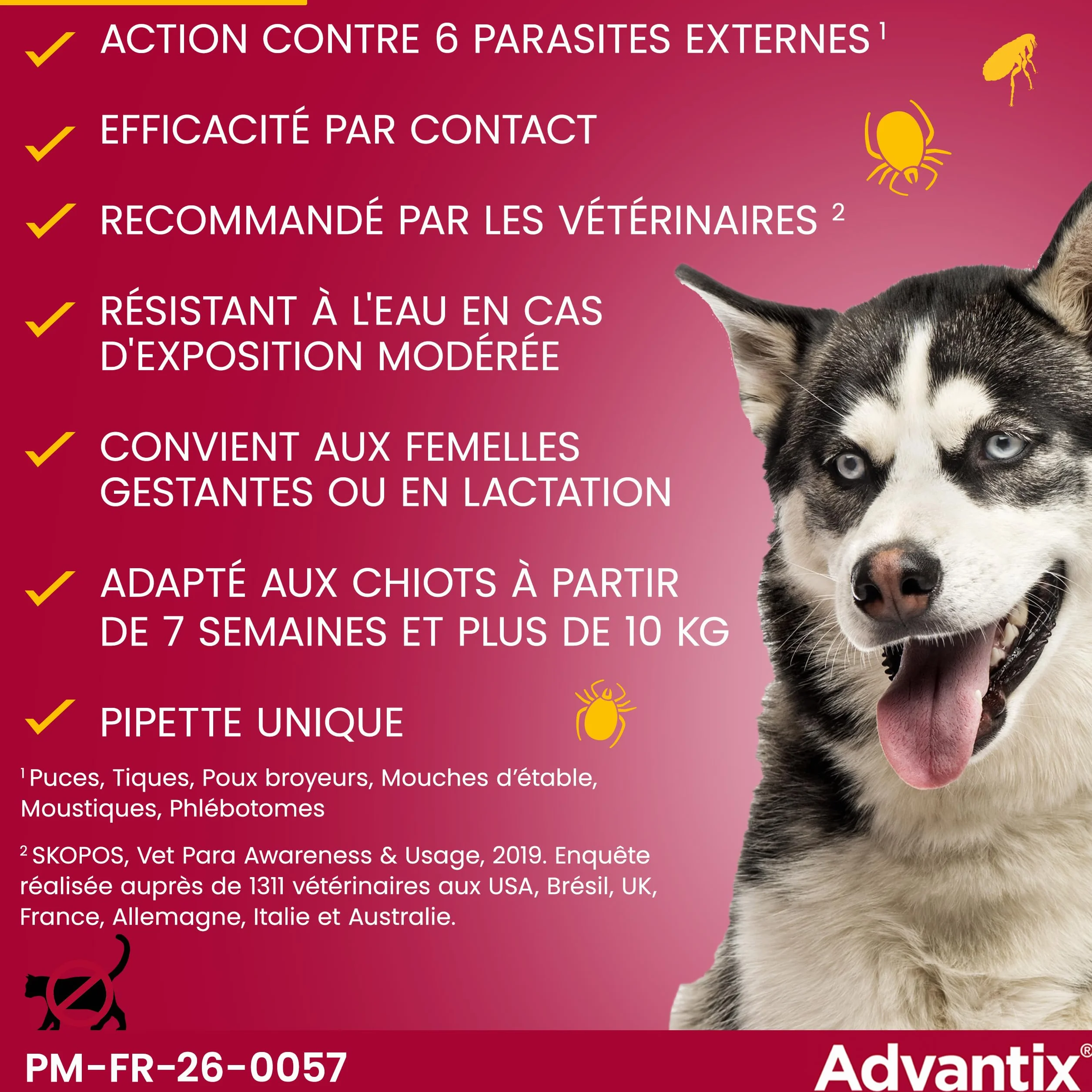 Advantix Chien Moyen 10-25 kg Pipettes 6 Parasites Traitement 4 Semaines 6 x 2,5 ml