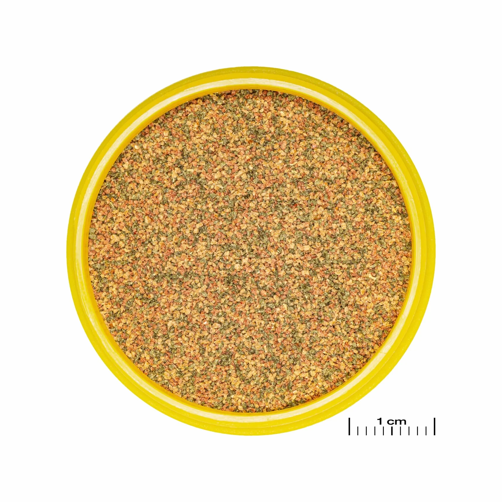 JBL PRONOVO BEL GRANO Aliment de Base pour Poissons d'Aquarium 1-3 cm Granulés Doseur à clic XXS 100 ml