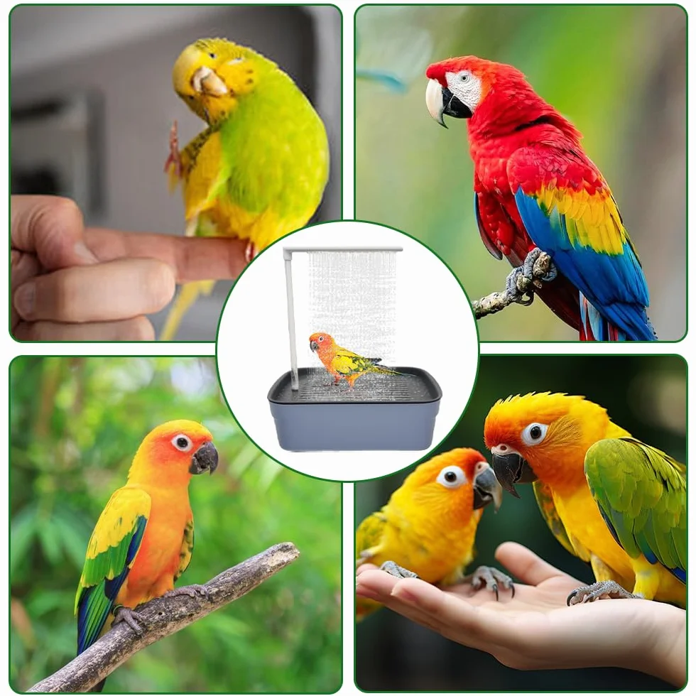 Baignoire Oiseaux Automatique Électrique avec Douche à Circulation Eau pour Perroquet