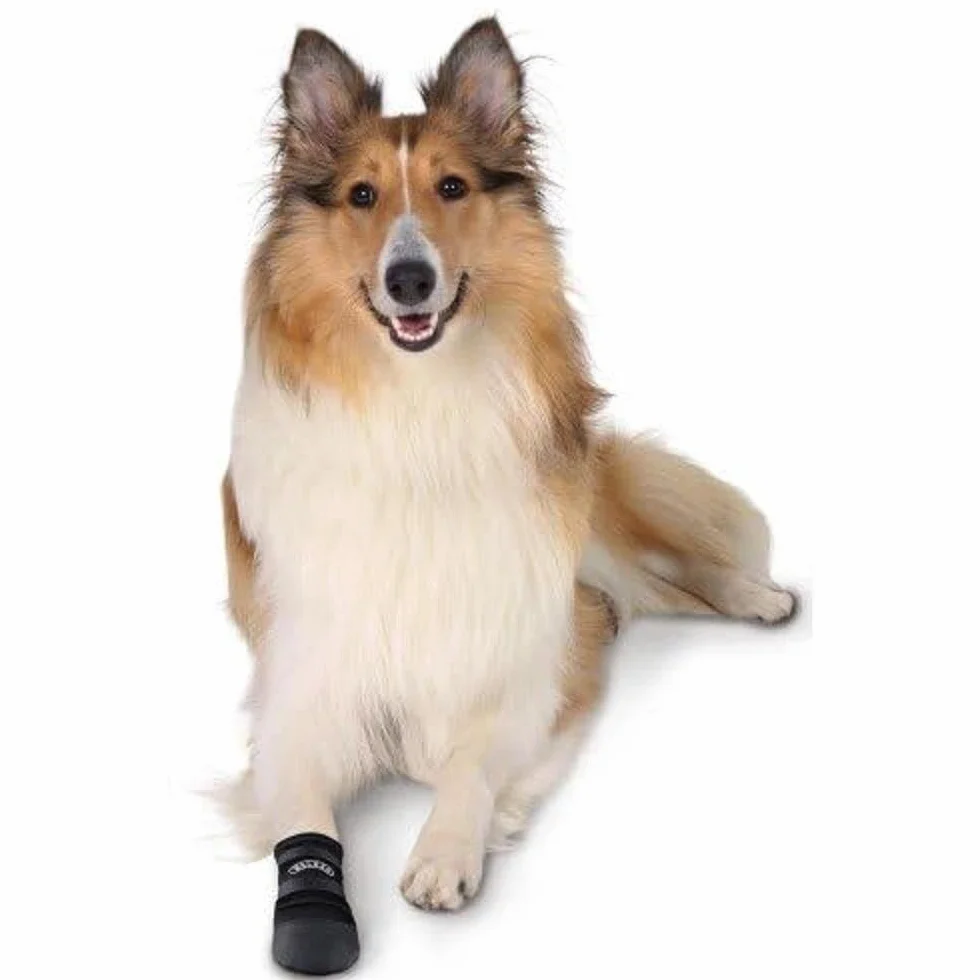 TRIXIE Walker chaussures pour chien L semelle vinyle 2 velcros protection outdoor pattes blessées sensibles