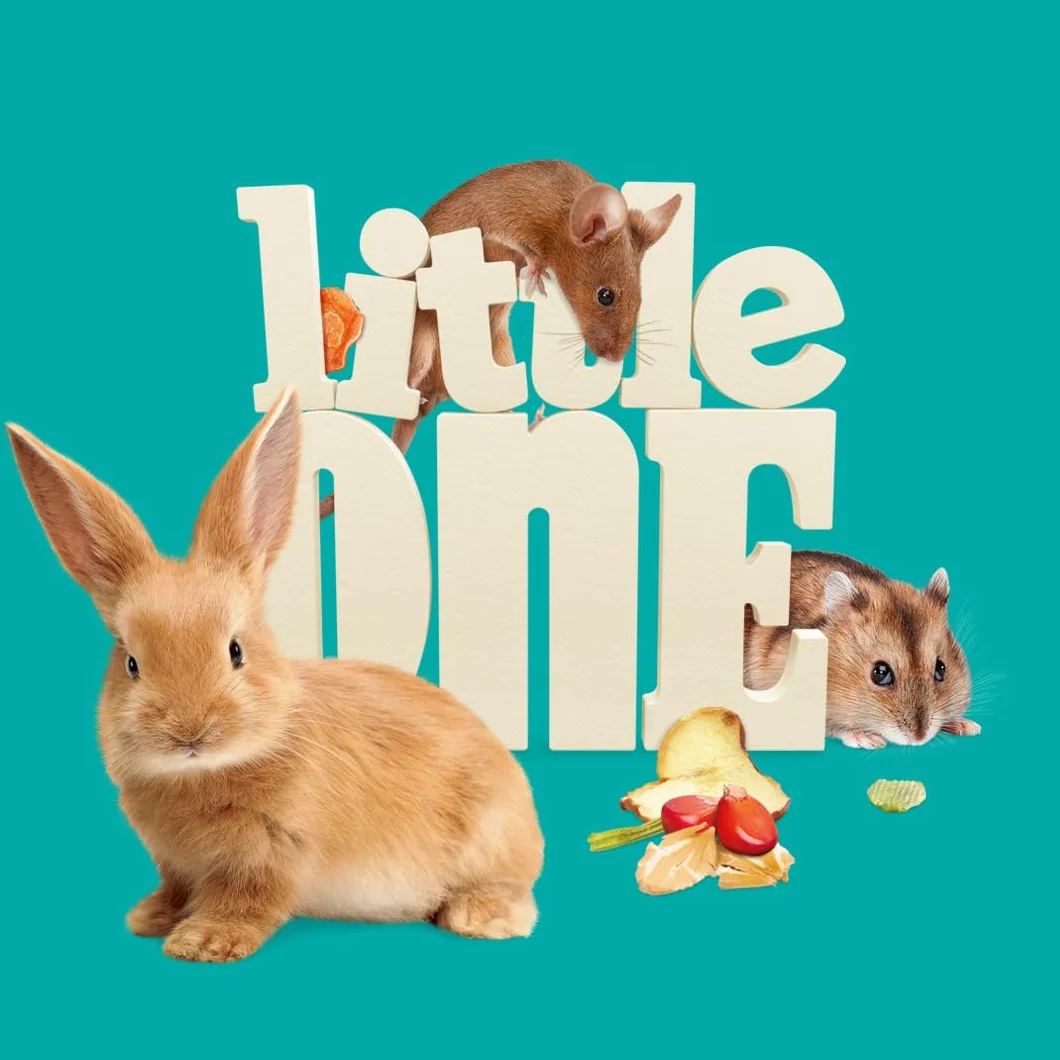Little One Alimentation complète pour gerbilles 400 g avec Yucca et Bananes séchées
