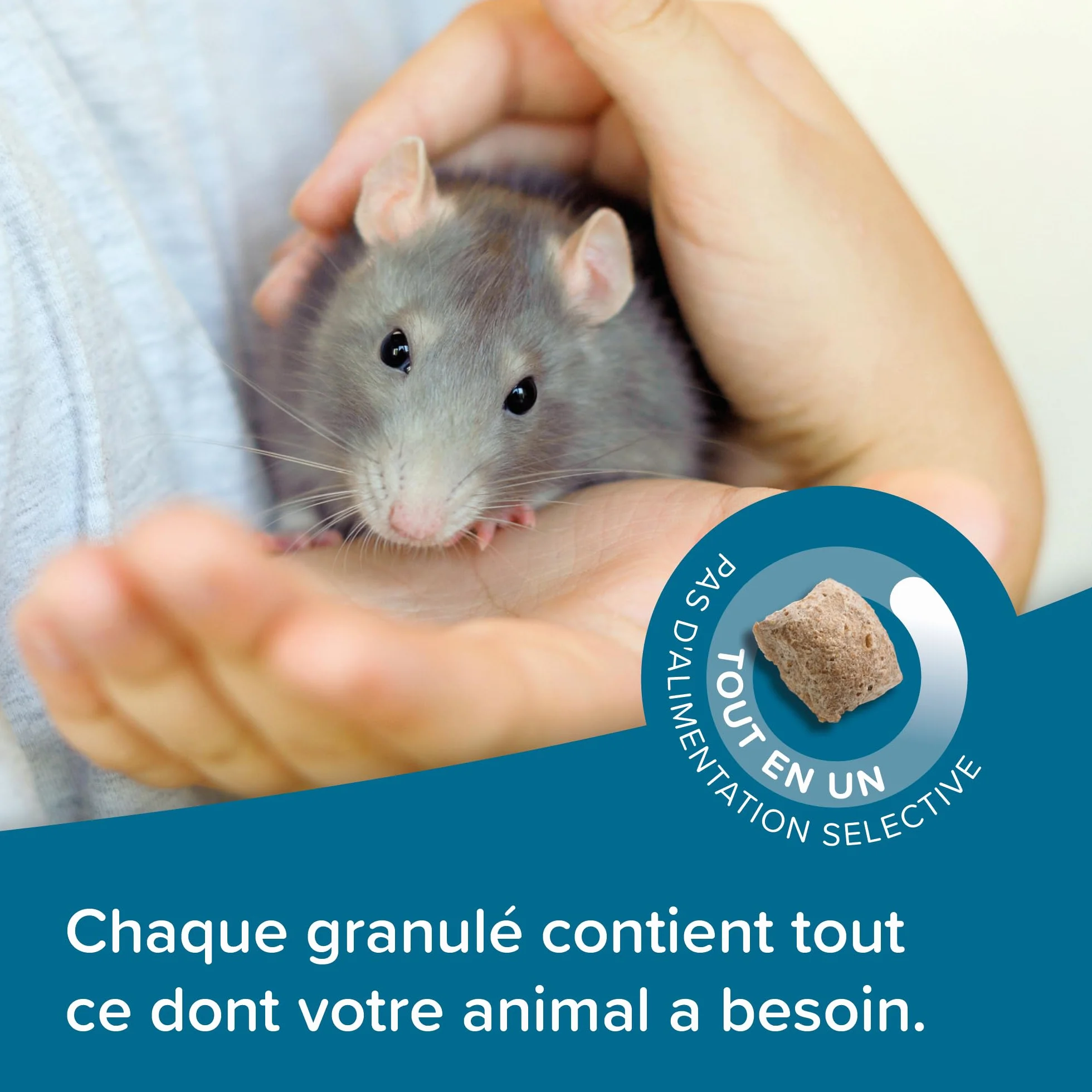 BEAPHAR Care+ Alimentation Super Premium extrudée pour Rat 700g