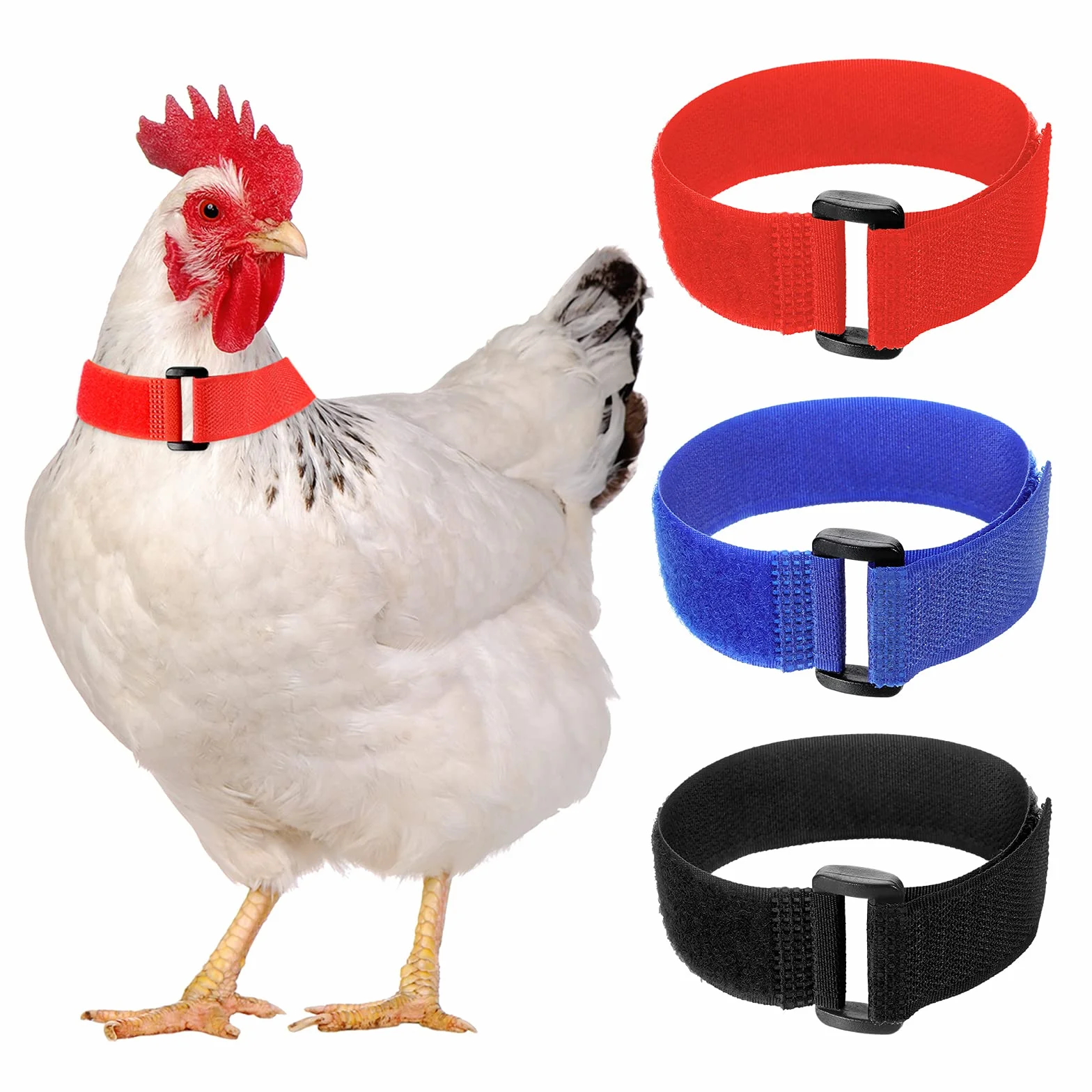 Lot de 6 colliers anti-corbeau en nylon pour poules