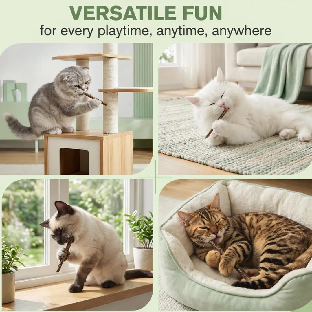 Bâtonnets Dentaires Pour Chats, Jouet À Mâcher En Bois, Hygiène Dentaire, Taille 0.6cm, Marron