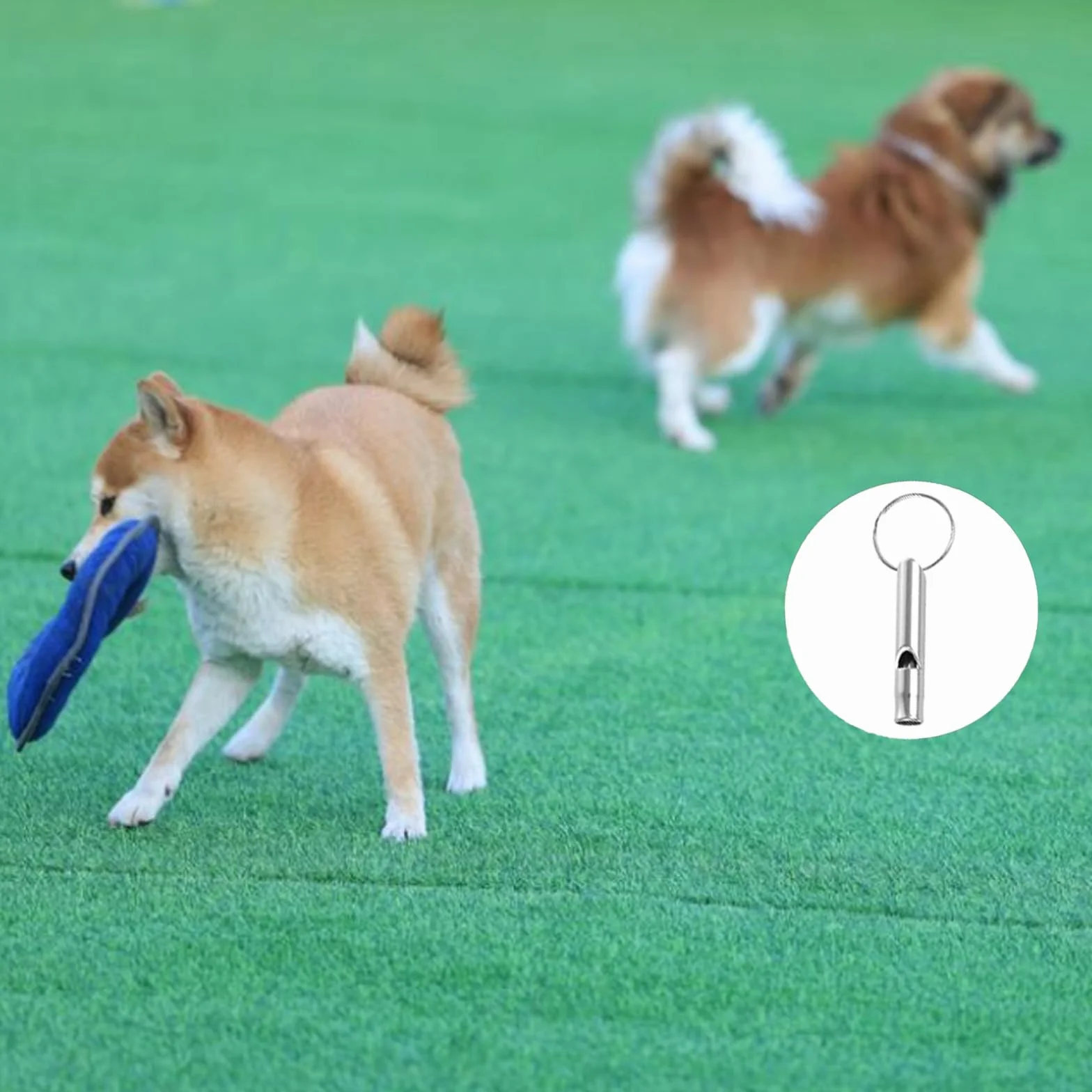 Sifflet Ultrason Chien Rappel Anti Aboiement Aluminium 6 Pièces avec Cordon