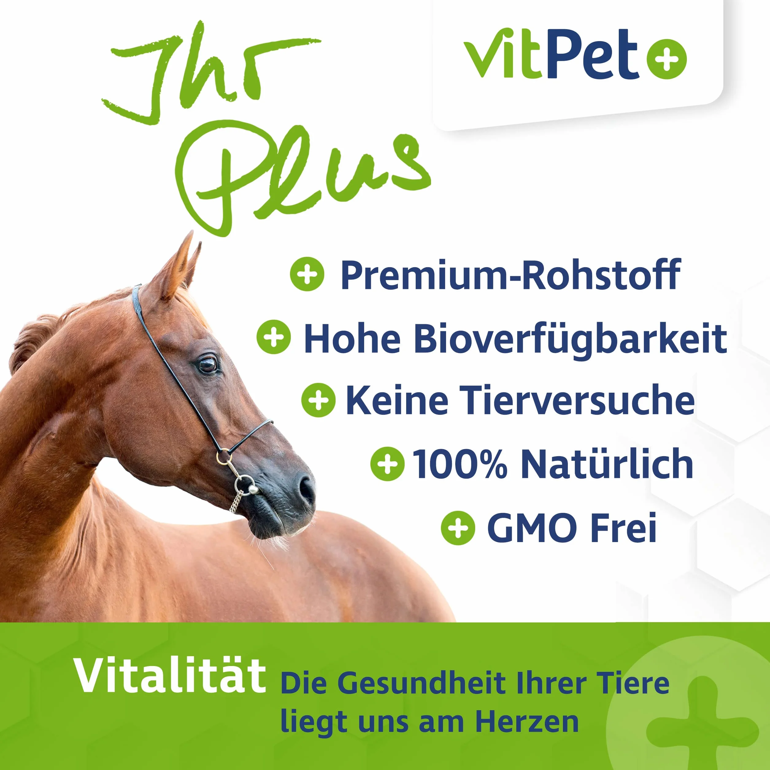 MSM Cheval – Premium MSM Poudre pour chevaux dans un seau de 1,8 kg avec cuillère doseuse (méthylsulfonylméthane / poudre de soufre pour chevaux et chiens)