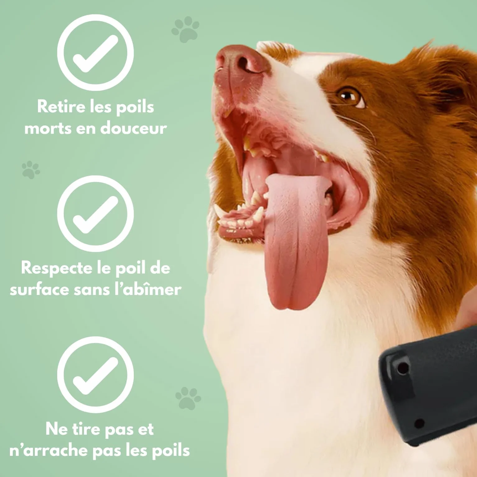 Brosse Chien Anti-Tomenteuse Élimine Sous-Poil Tangles pour Chiens Chats Poils Courts et Longs