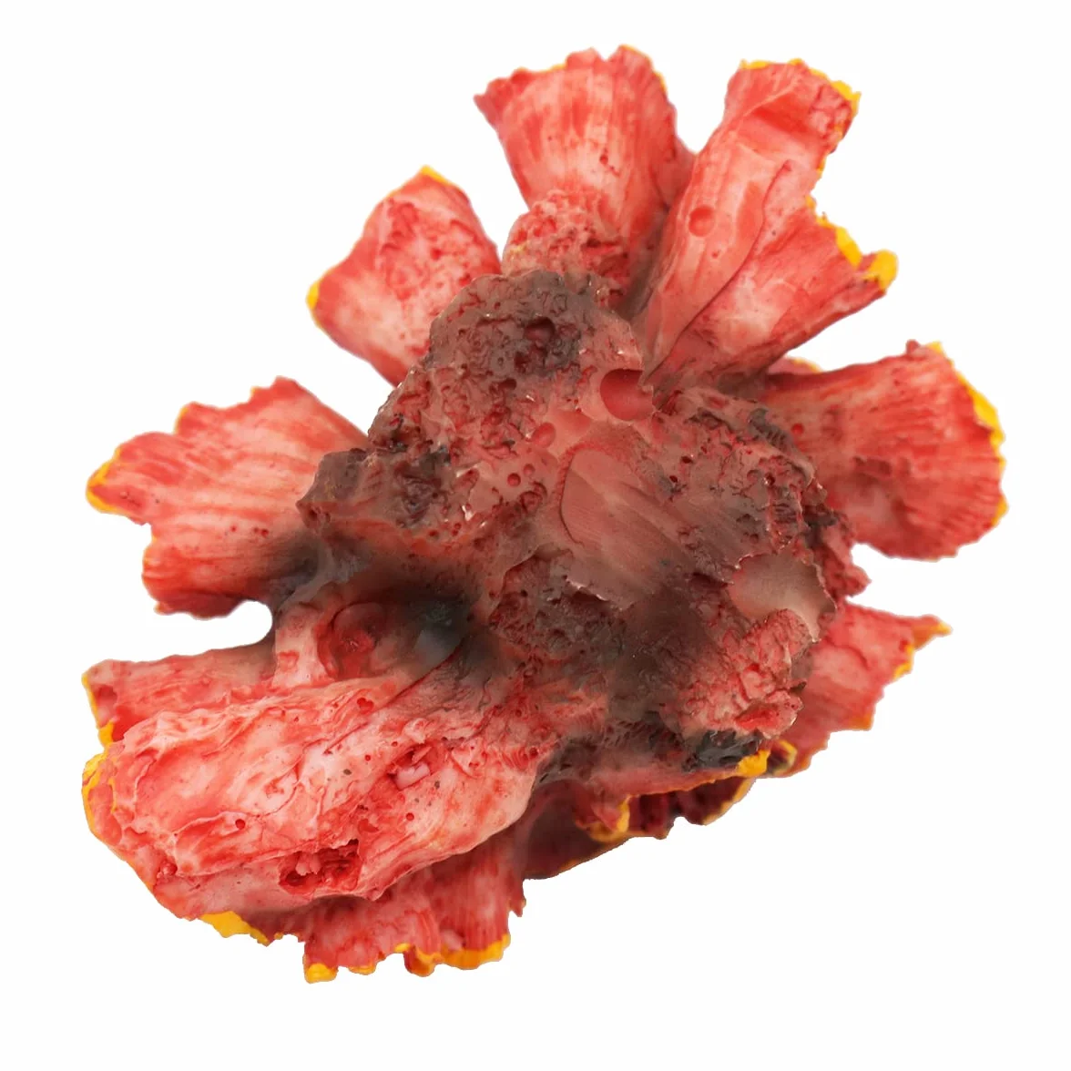 Décoration d'Aquarium Corail Artificiel Non Toxique 8x6x5cm Orange