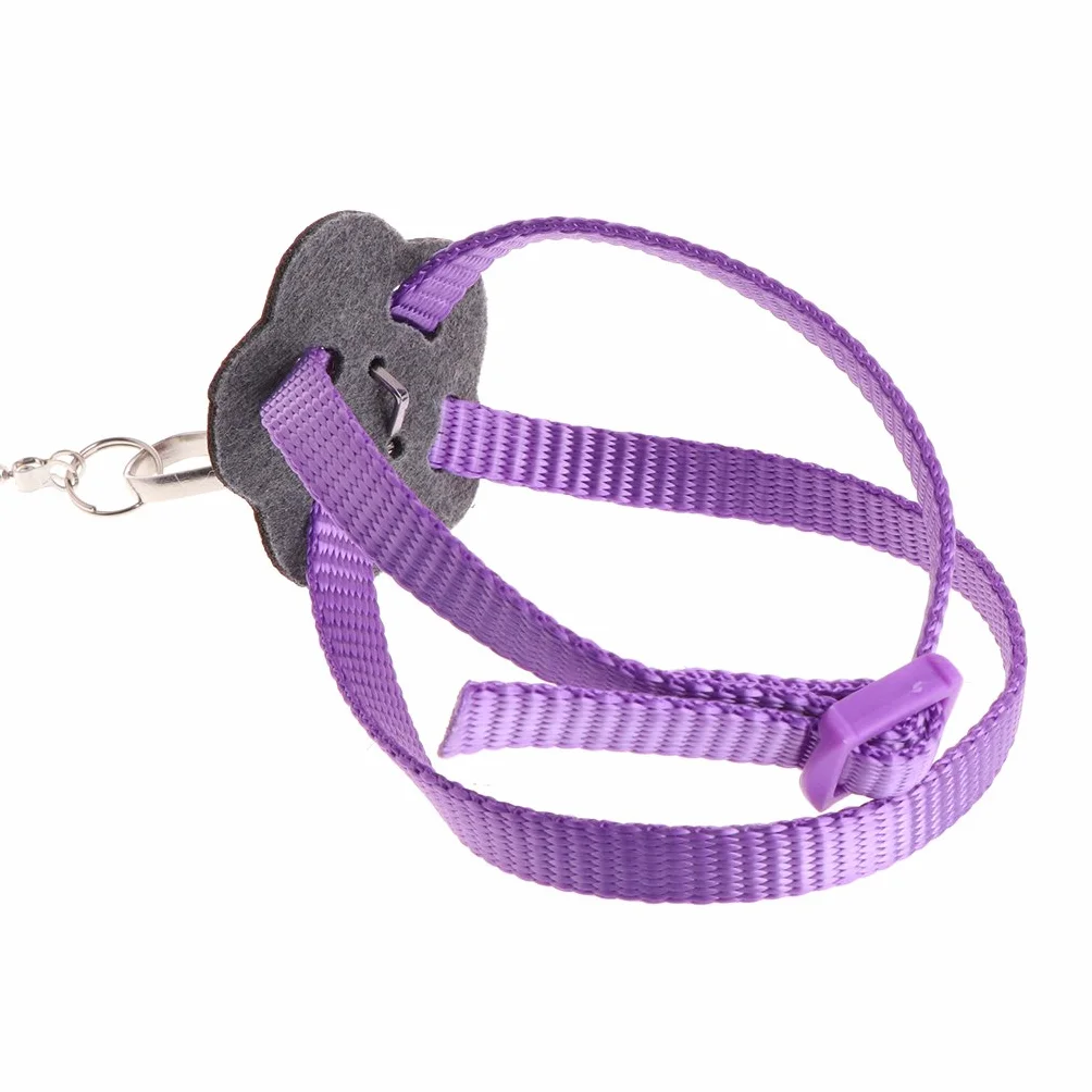 Harnais pour perroquet en nylon réglable anti-morsure pour petits oiseaux canaris conures