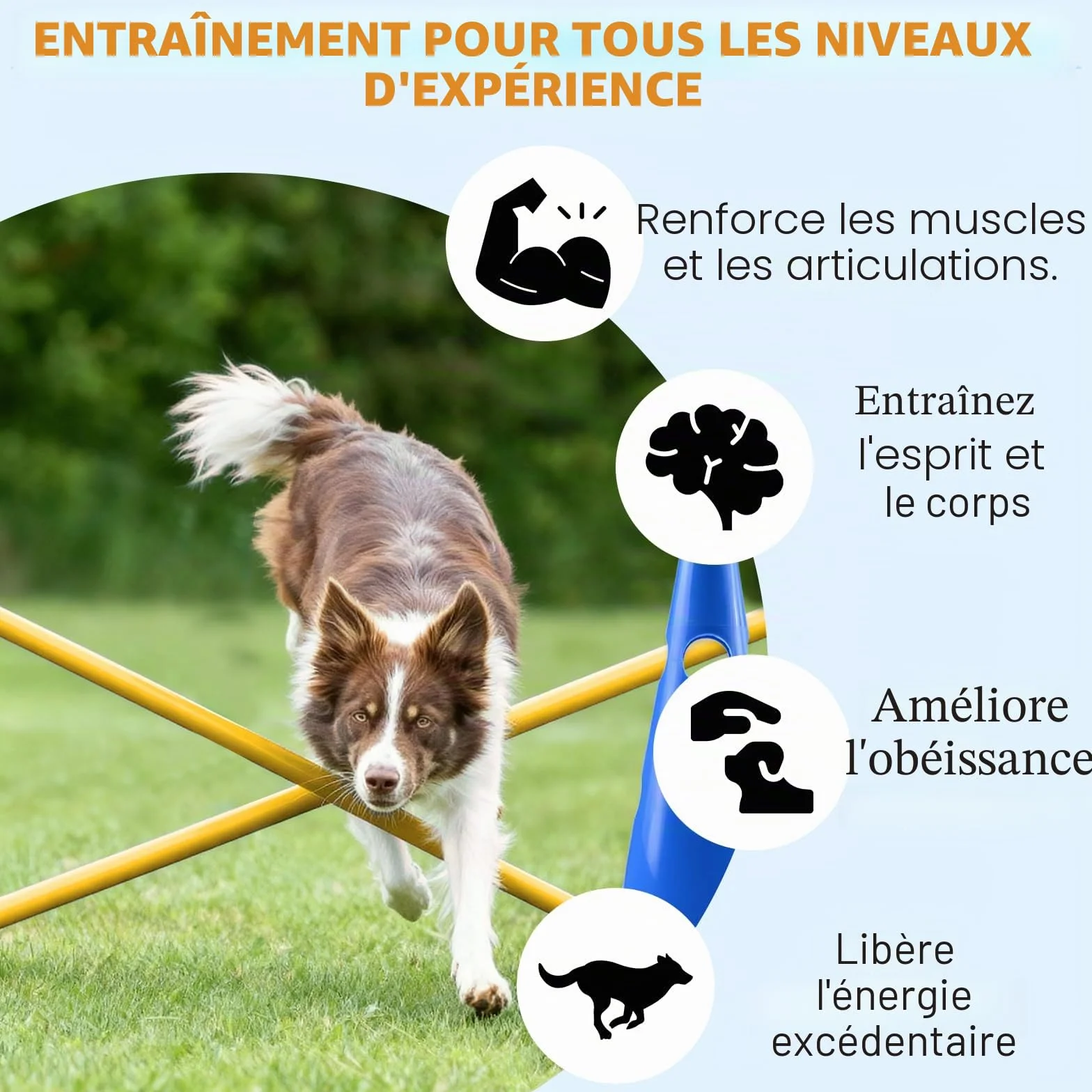 Agility Kit de barrière d'agilité pour Chien - Cavaletti réglables - Hauteur 32 cm - 8 Barres 80 cm