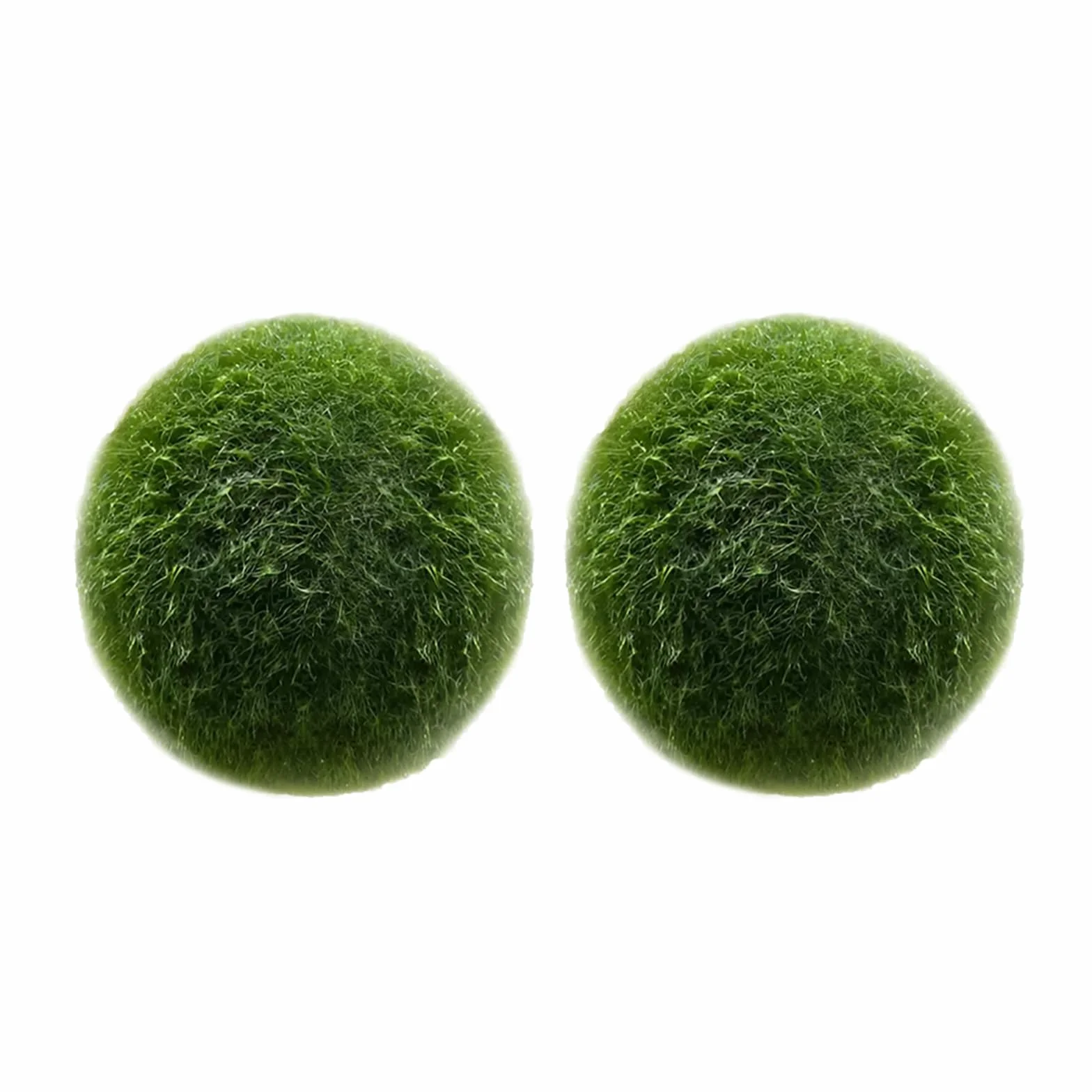 Lot de 2 boules d'algues vertes naturelles pour aquarium (L)