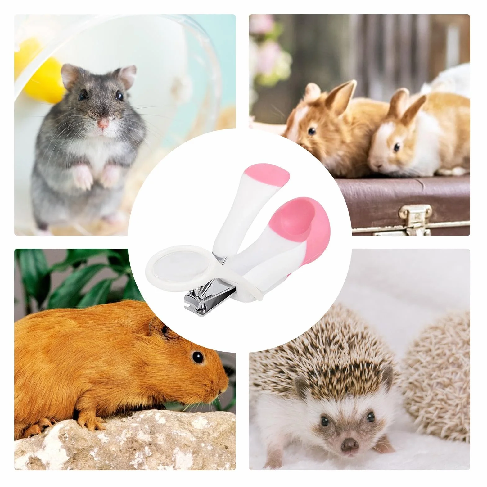 Coupe-ongles pour cochon d'Inde multifonction hérisson hamster lapin