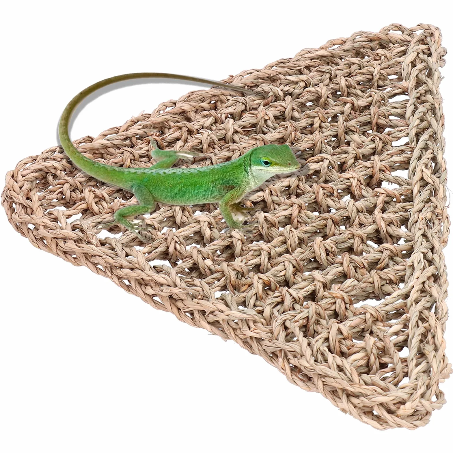 Alvinlite Hamac De Dragon Barbu Reptile Lézard Triangle 32 X 32 X 42CM