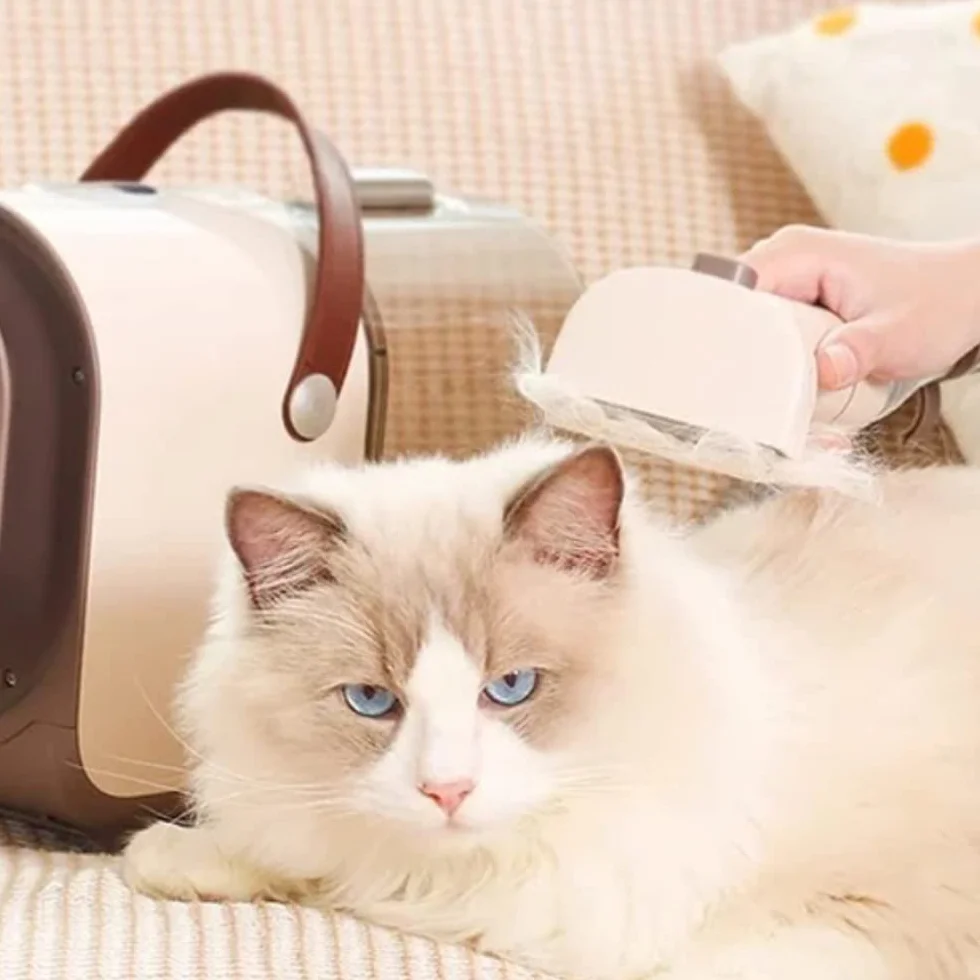 Eziclean Animal Groomy 6 Station de toilettage