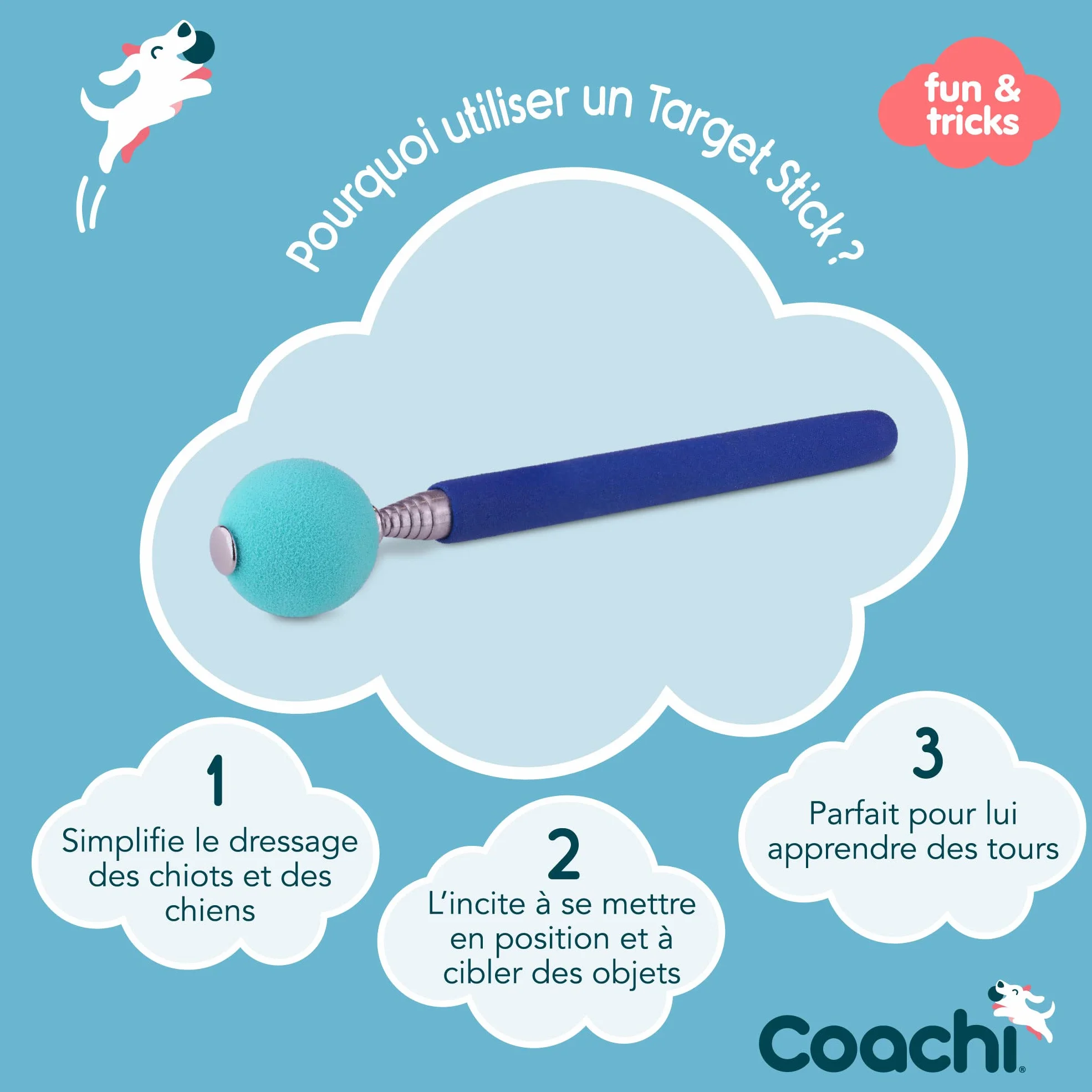 Target Stick Coachi, conception télescopique avec grande balle cible, accessoire pour chien pour le dressage au clicker et à l’agilité, apprentissage d’ordres et tours, adapté aux chiens et aux chiots