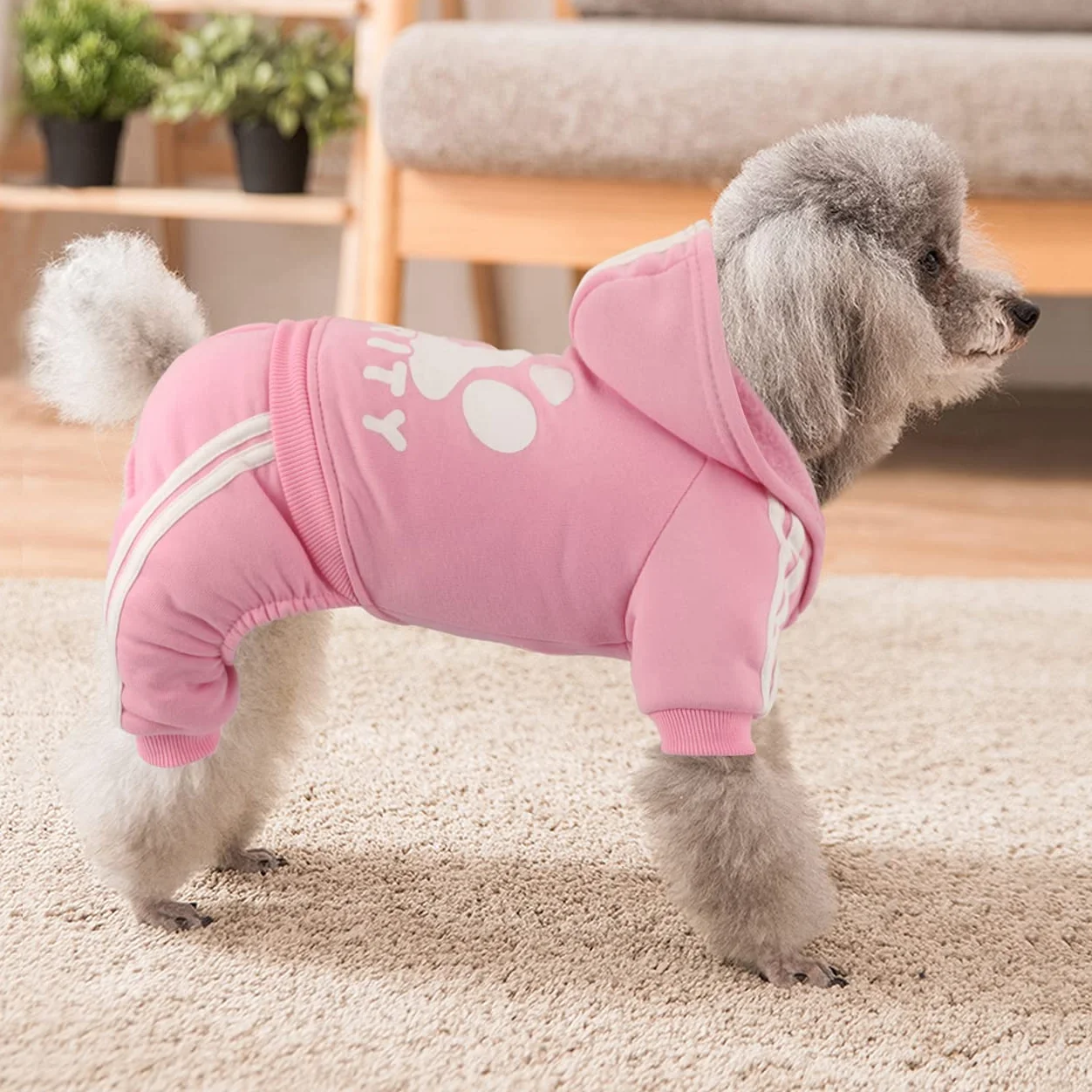 Sweat à Capuche pour Chien Vêtements pour Animaux Pull Automne Hiver Polaire Veste pour Chihuahua Teddy Petits Chiens Taille Moyenne