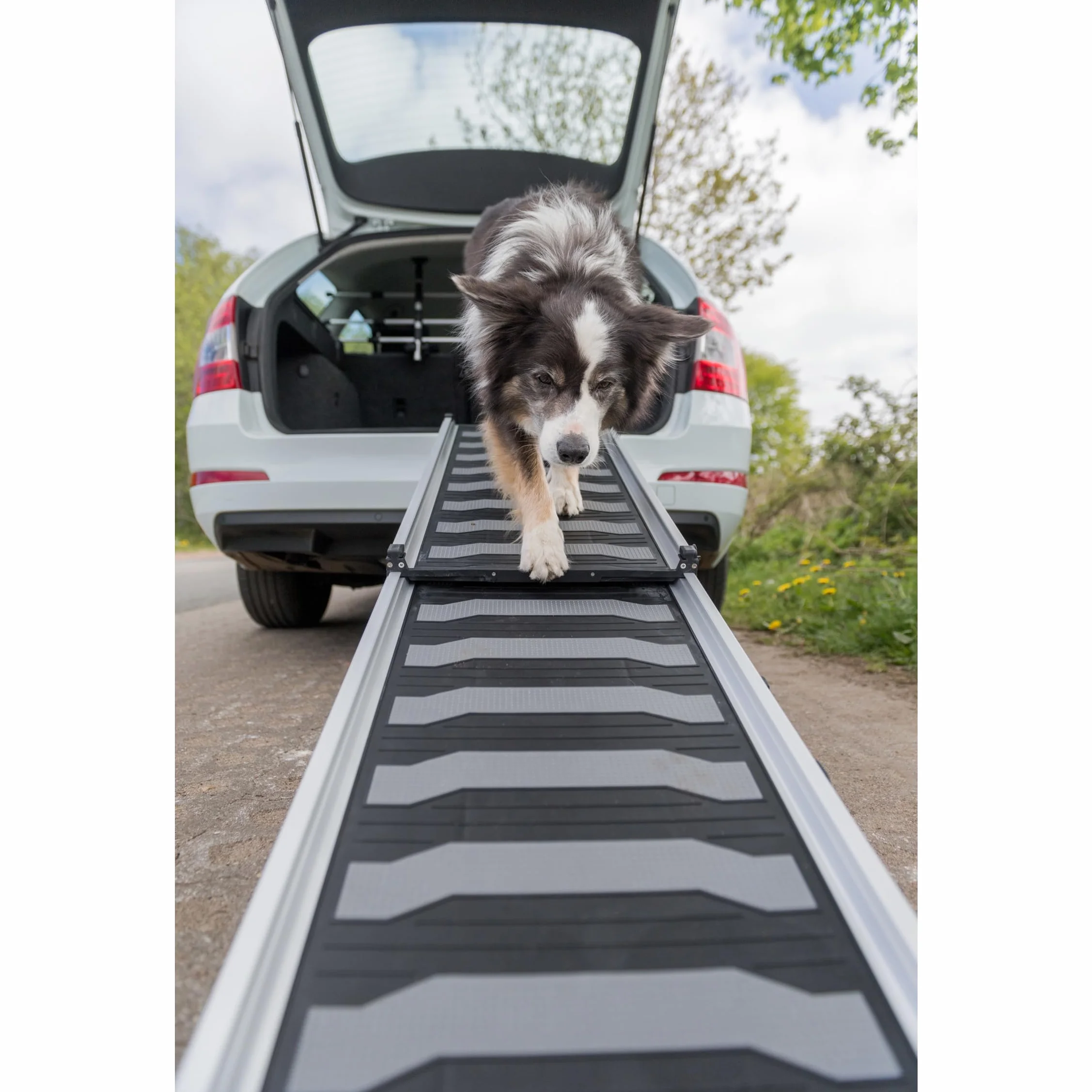 Rampe télescopique pour chien en Aluminium 175,3 cm Trixie