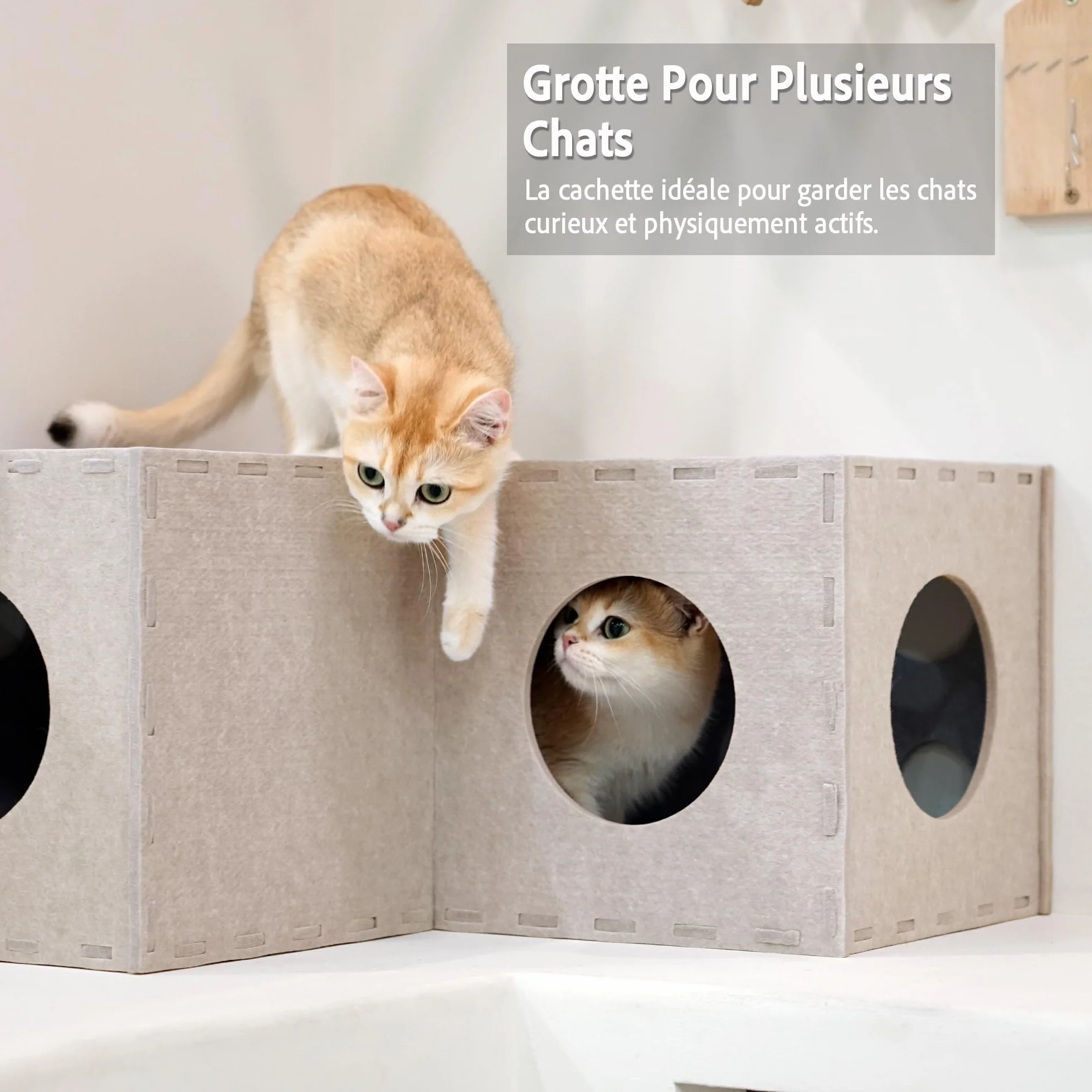 PETKARAY Tunnel pour Chat - Cachette Originale pour Chat d'intérieur - Grand Tube et Tunnel de Jeu - Jouet en Feutre Doux avec Trou interactif