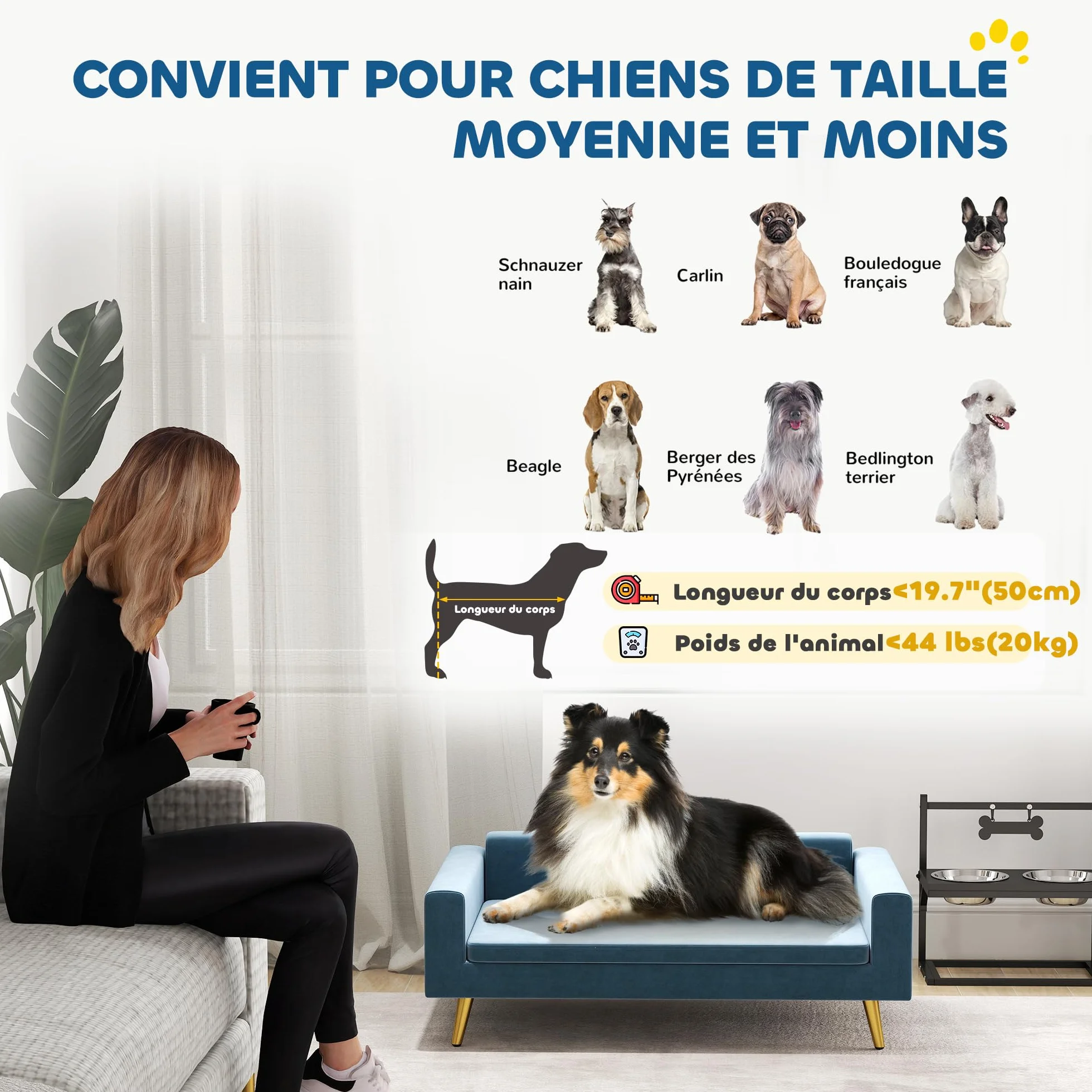 PawHut Canapé Chien 94 x 59,5 x 31,5 cm Bleu Velours Soyeux Pieds Acier Inoxydable