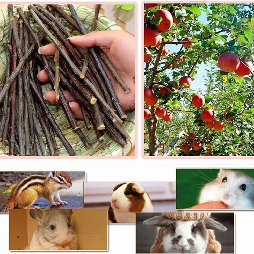 Bâtonnets de Pomme pour Animaux de Compagnie, Bâton à Mâcher De Pomme,Branche De Pomme Molaire,Petit Jouet pour Animaux De Compagnie,pour Chinchilla Cobaye Hamster Lapin