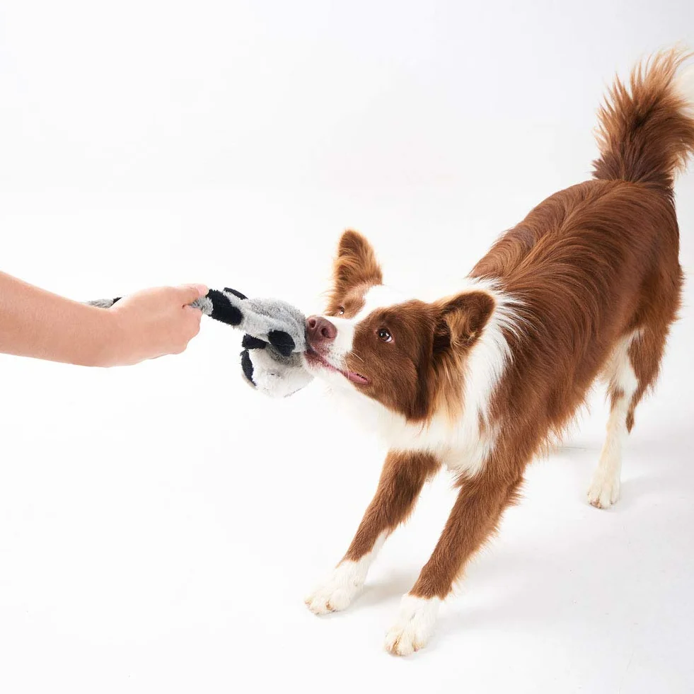 JOYELF Jouet en peluche pour chien qui couine, renard et raton laveur avec papier froissé