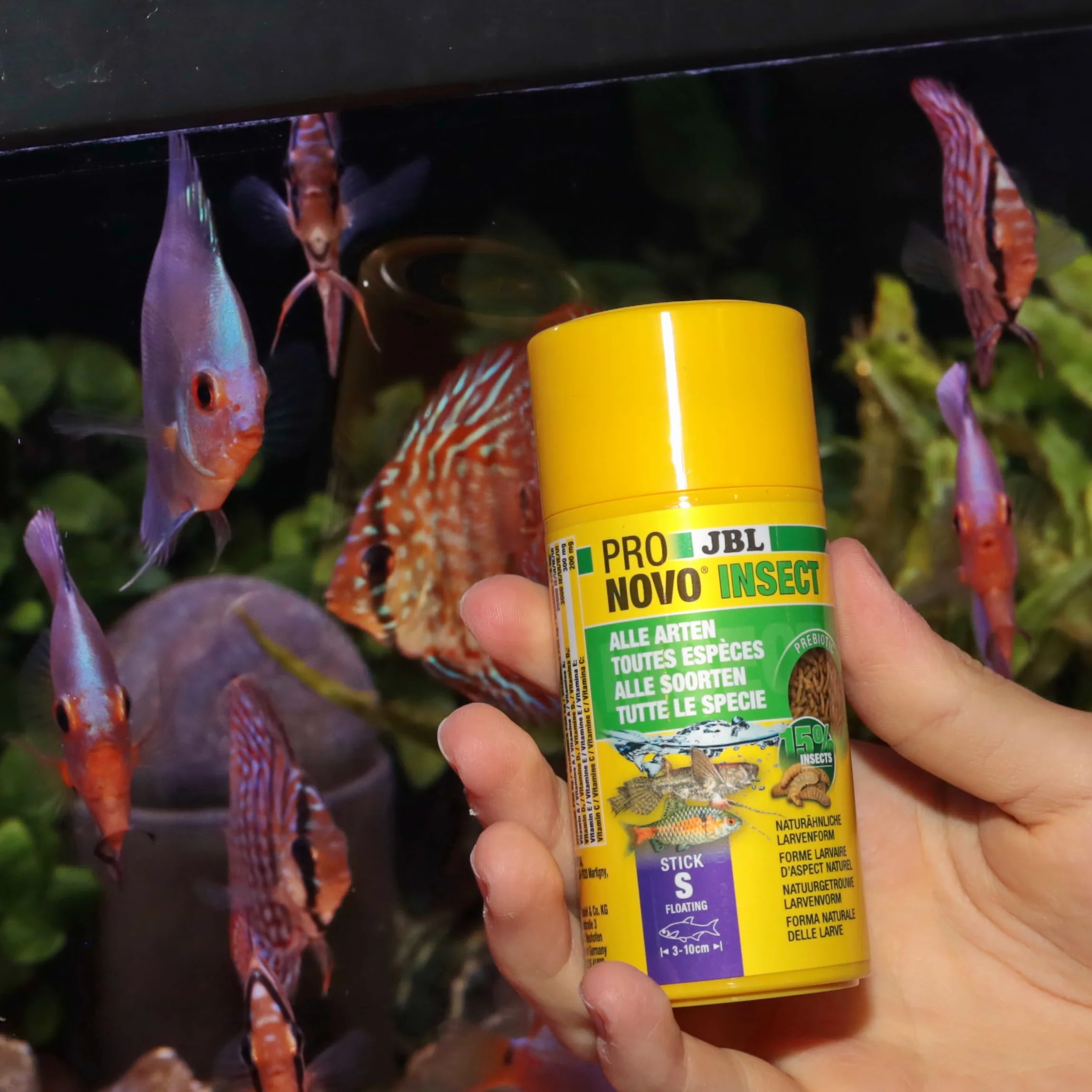 JBL PRONOVO INSECT STICK, Aliment pour Poissons d'Aquarium 3-10 cm, Bâtonnets, Doseur à clic, taille S, 100 ml