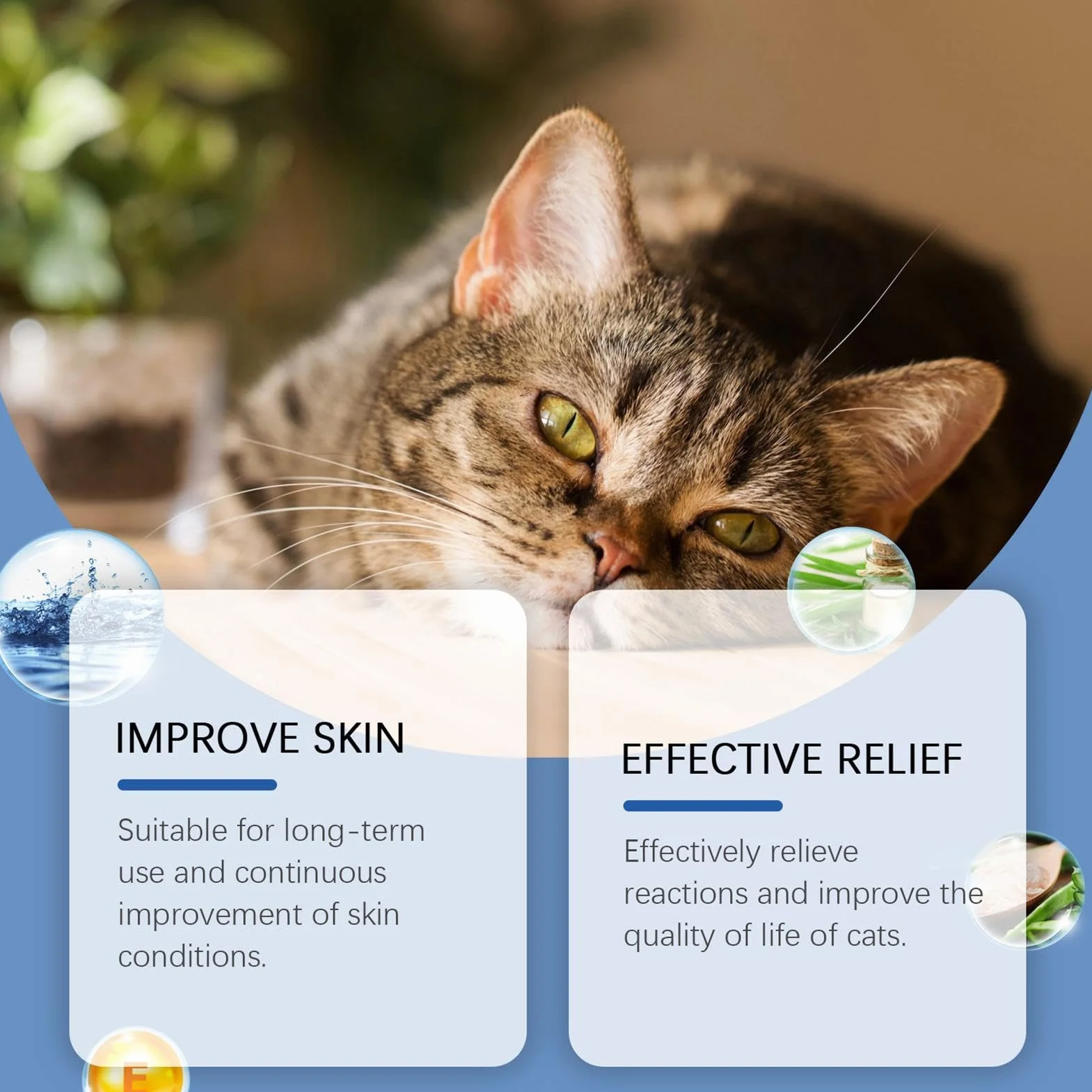 Spray anti-démangeaisons pour chat 100 ml Guérisseur naturel des plaies de chat soulagement des points chauds