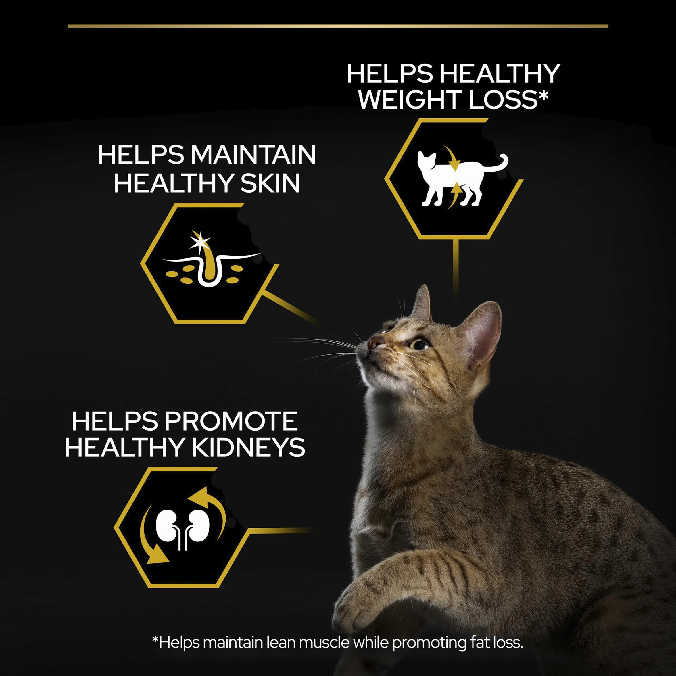 PURINA PRO PLAN Light Croquettes Chat Adulte Surpoids Faibles Matières Grasses Dinde 3KG
