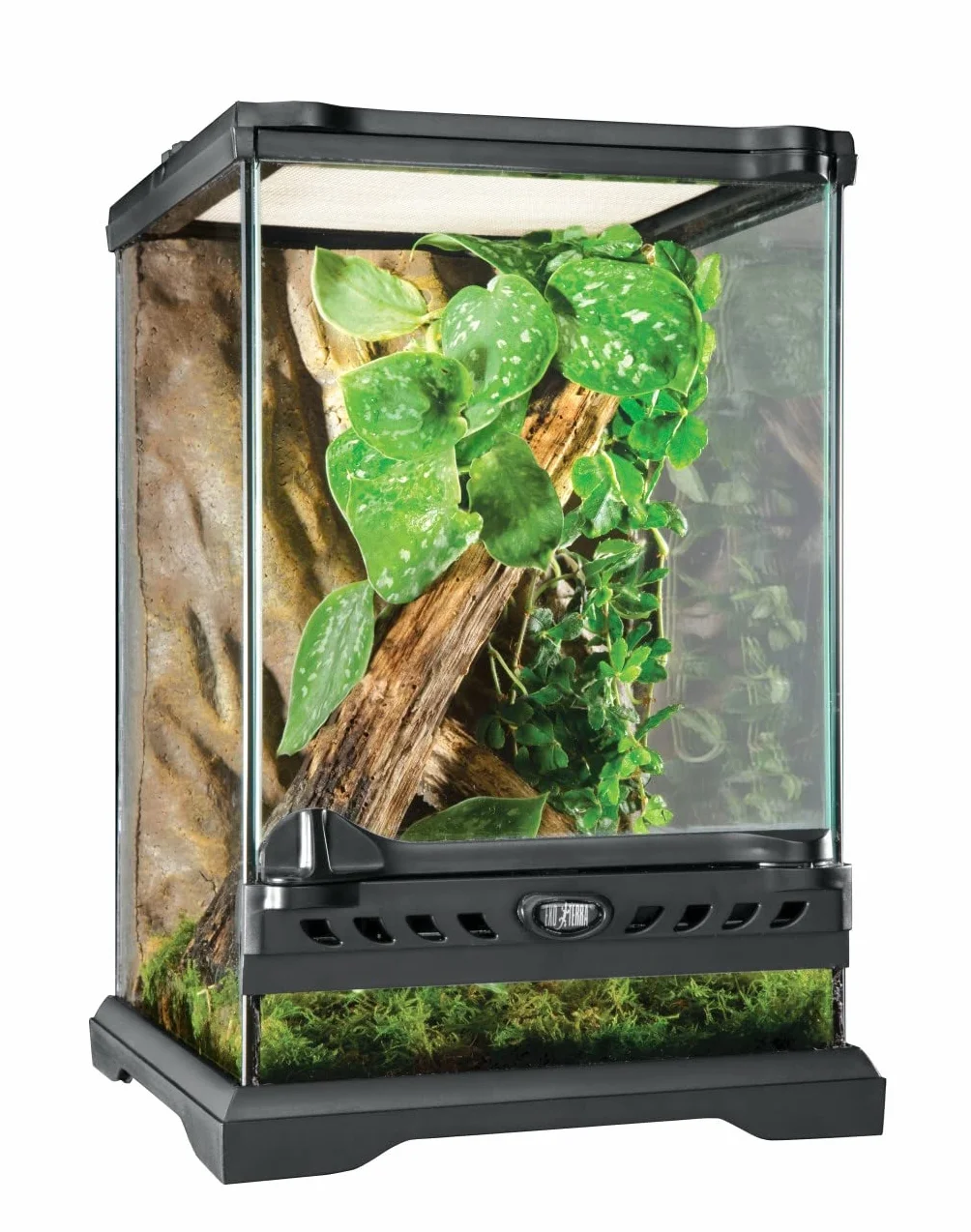 Exoterra Terrarium en Verre pour Reptiles et Amphibiens 20 x 20 x 30 cm