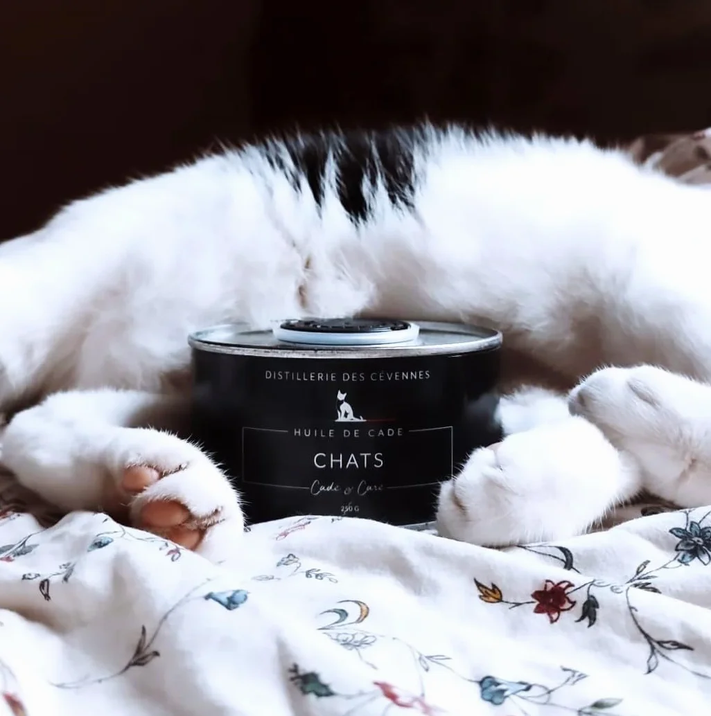 Huile de Cade pour Chats 250g Distillerie des Cévennes Fabriquée en France