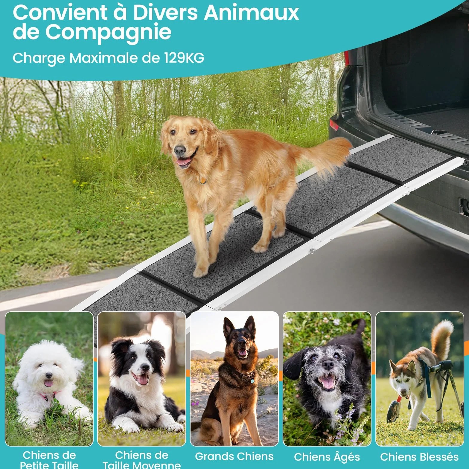 DAISTERN de BSWAY Rampe pour Chien Voiture Pliable 180cm x 50cm, Rampe d'Accès Escalier Extérieur avec Tapis Antidérapant, Cadre en Métal Aluminium Revêtu de Poudre Capacité de Charge jusqu'à 129KG